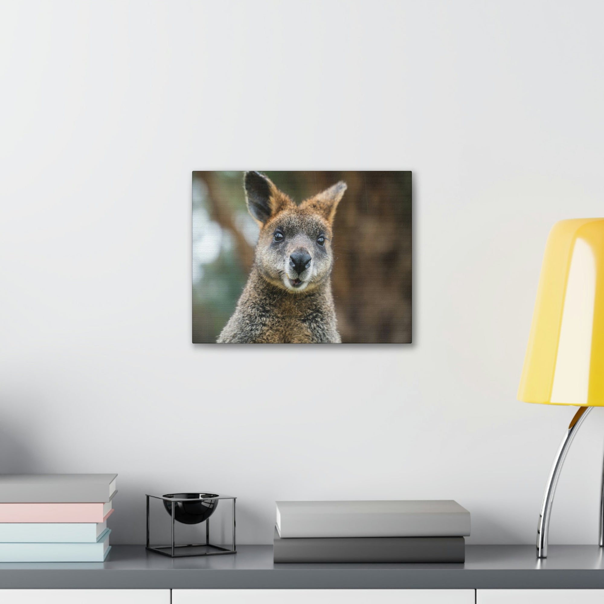 Funny Wallaby Silly Wallaby Scene Outside Wall Art Ready to Hang Unframed-Express Your Love Gifts