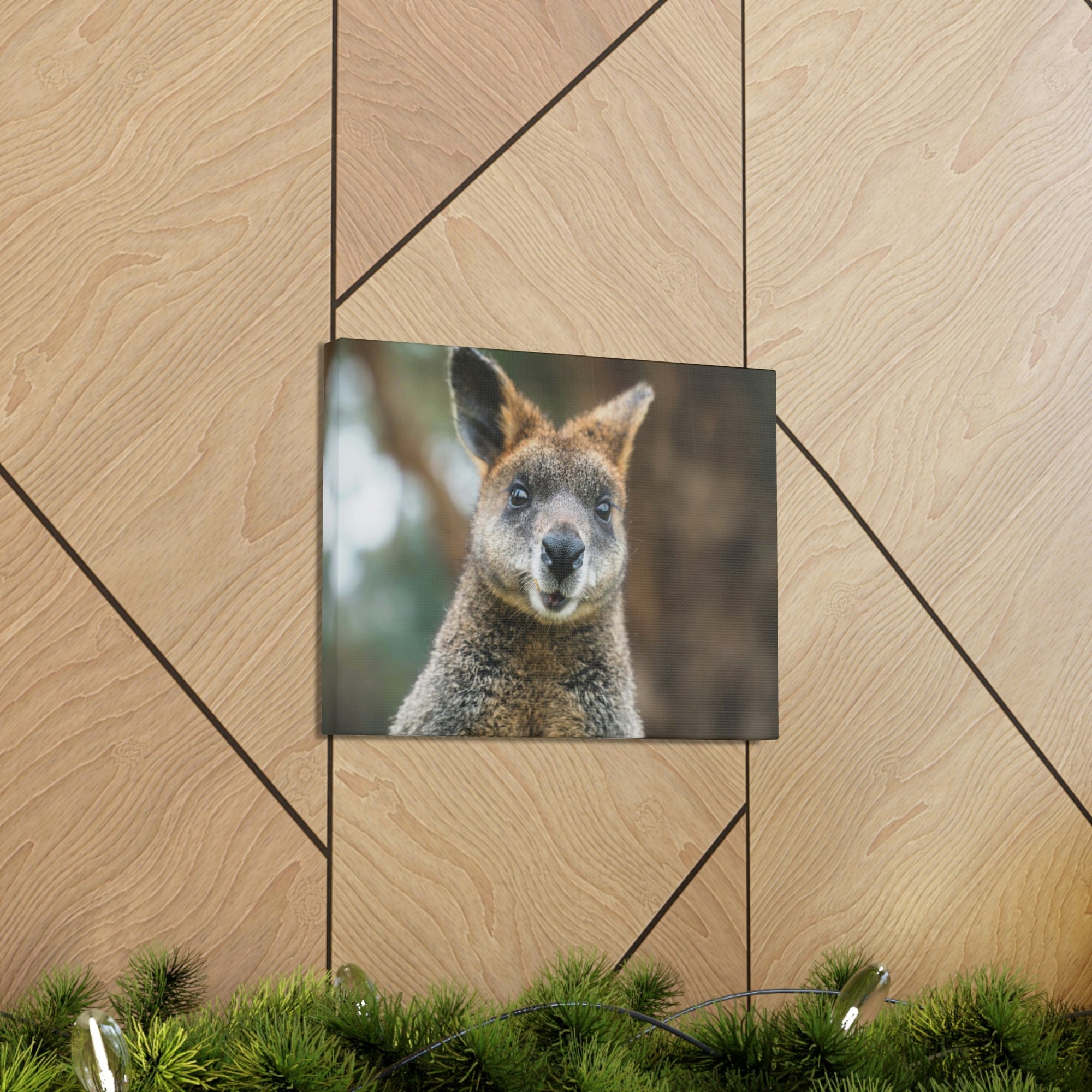 Funny Wallaby Silly Wallaby Scene Outside Wall Art Ready to Hang Unframed-Express Your Love Gifts