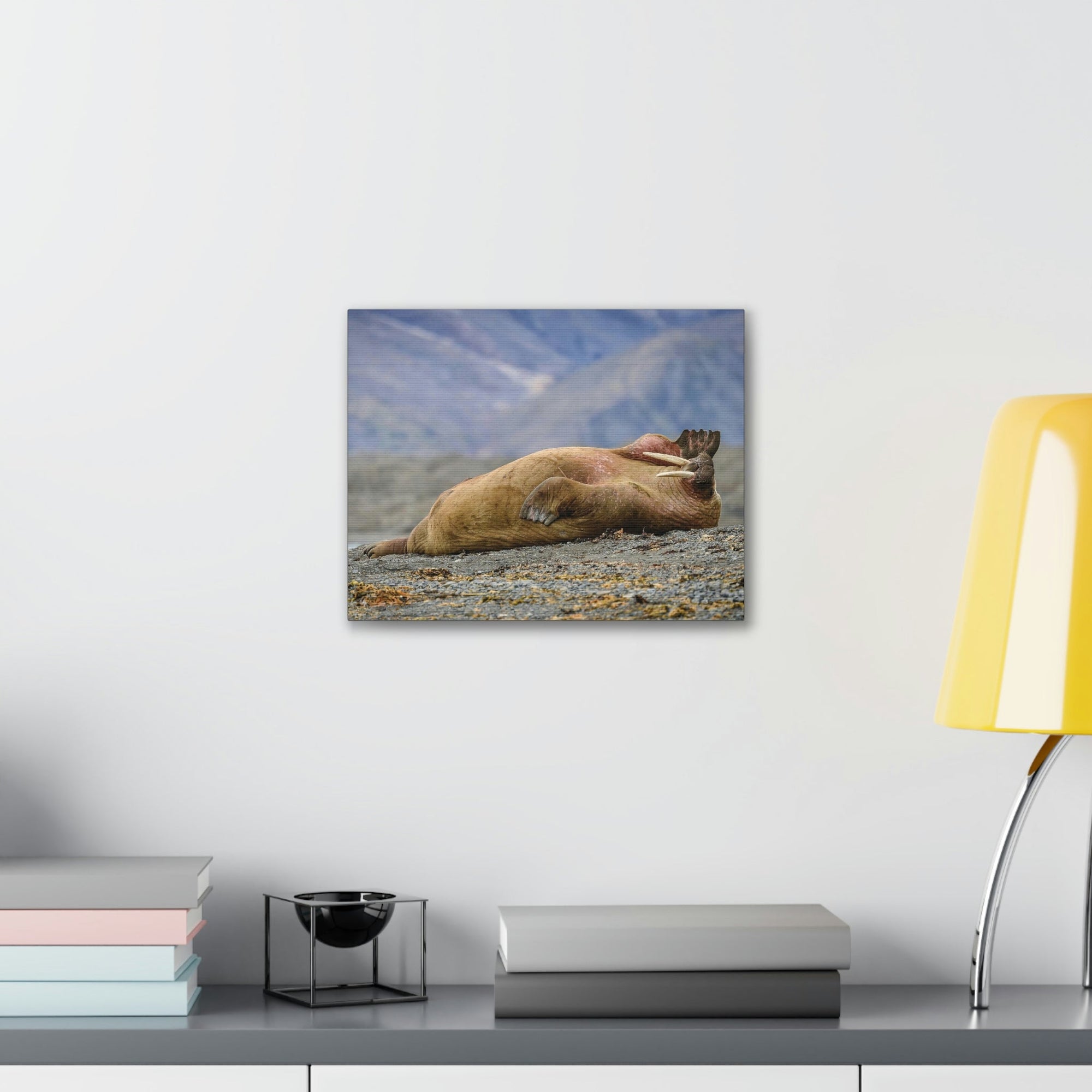 Funny Walrus Sill Walrus Outside Wall Art Ready To Hang Unframed-Express Your Love Gifts