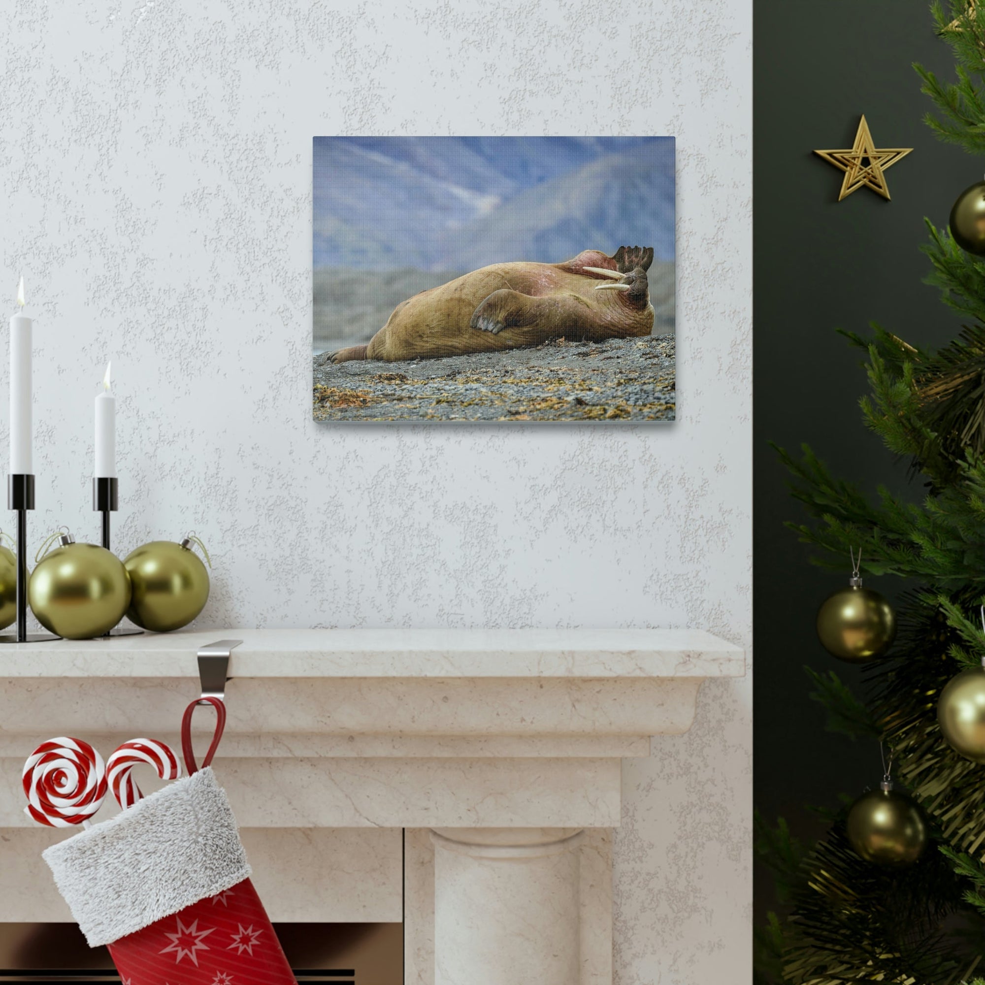 Funny Walrus Sill Walrus Outside Wall Art Ready To Hang Unframed-Express Your Love Gifts