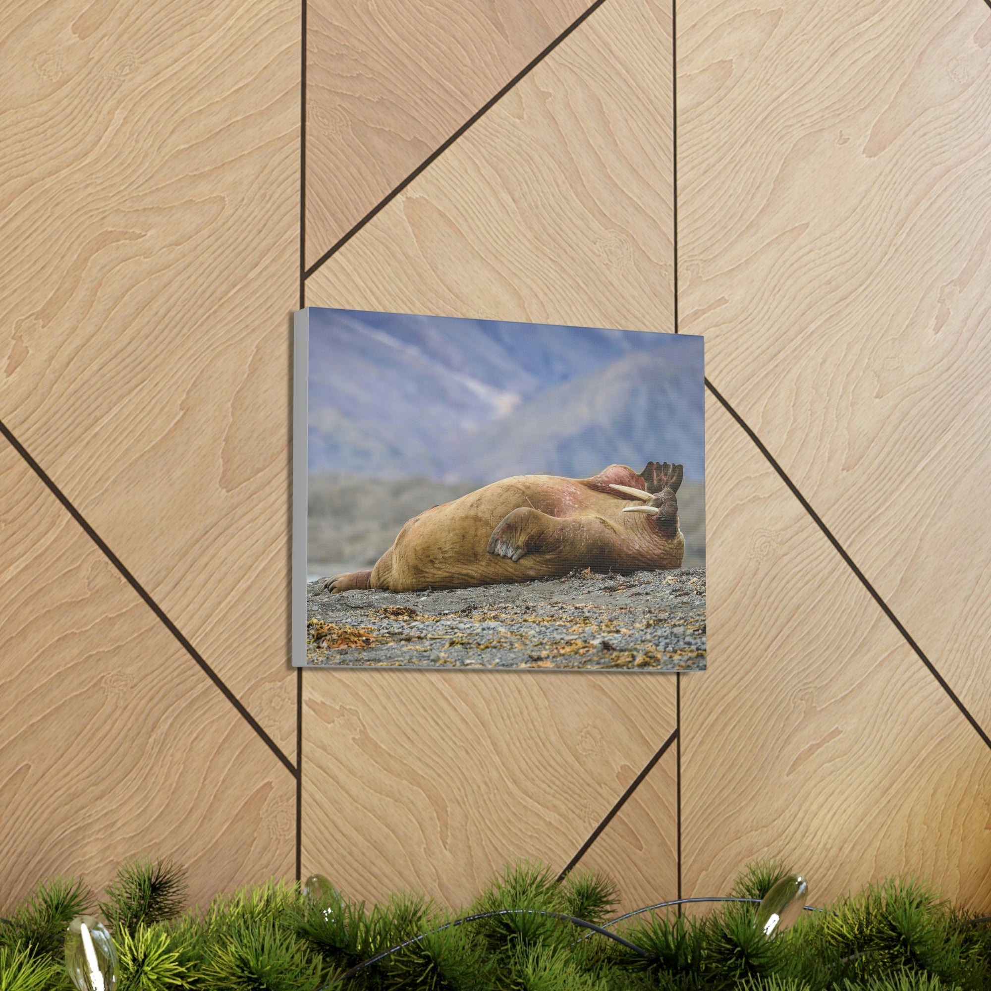 Funny Walrus Sill Walrus Outside Wall Art Ready To Hang Unframed-Express Your Love Gifts