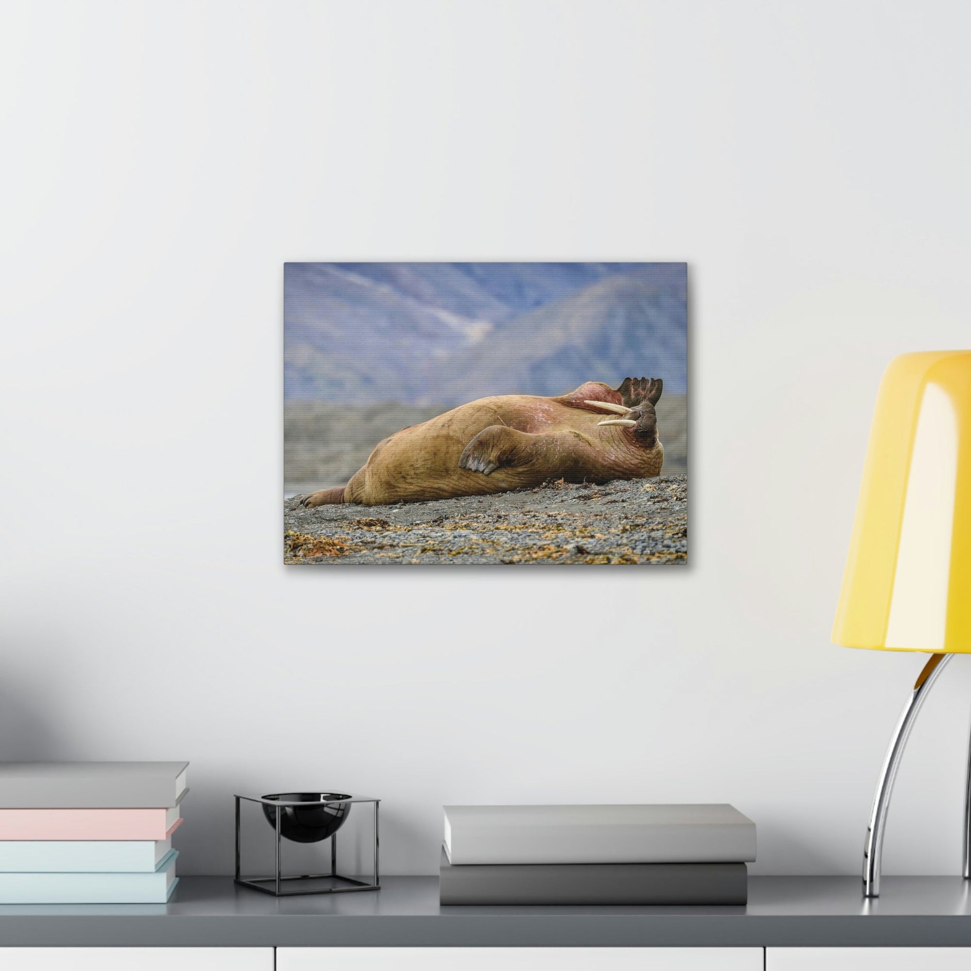 Funny Walrus Sill Walrus Outside Wall Art Ready To Hang Unframed-Express Your Love Gifts