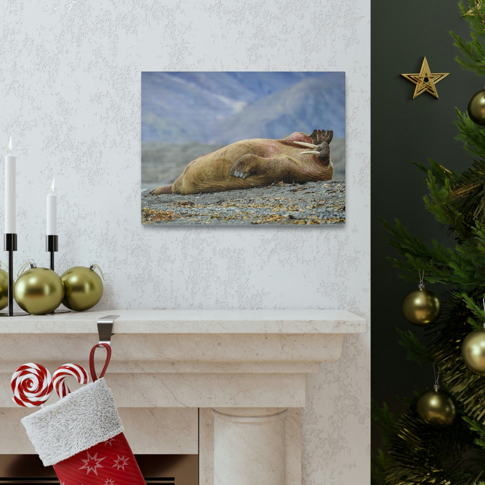 Funny Walrus Sill Walrus Outside Wall Art Ready To Hang Unframed-Express Your Love Gifts