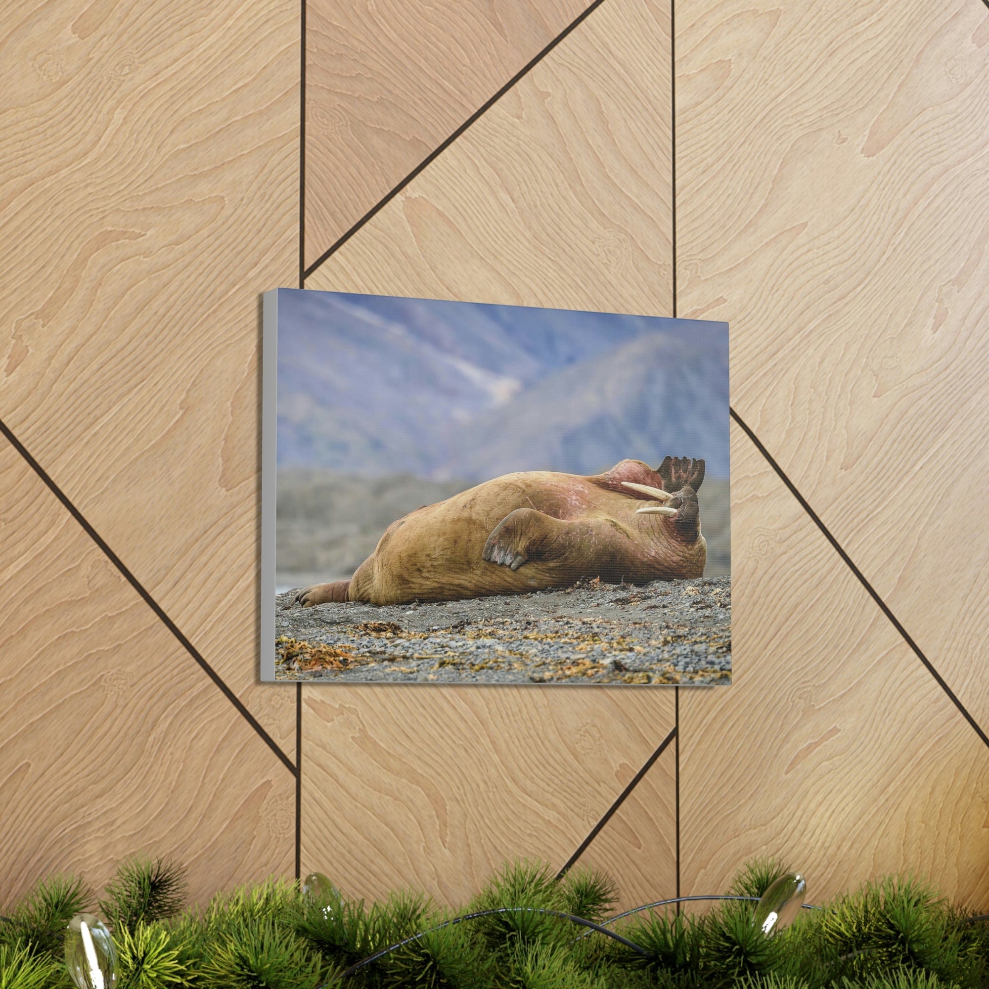 Funny Walrus Sill Walrus Outside Wall Art Ready To Hang Unframed-Express Your Love Gifts