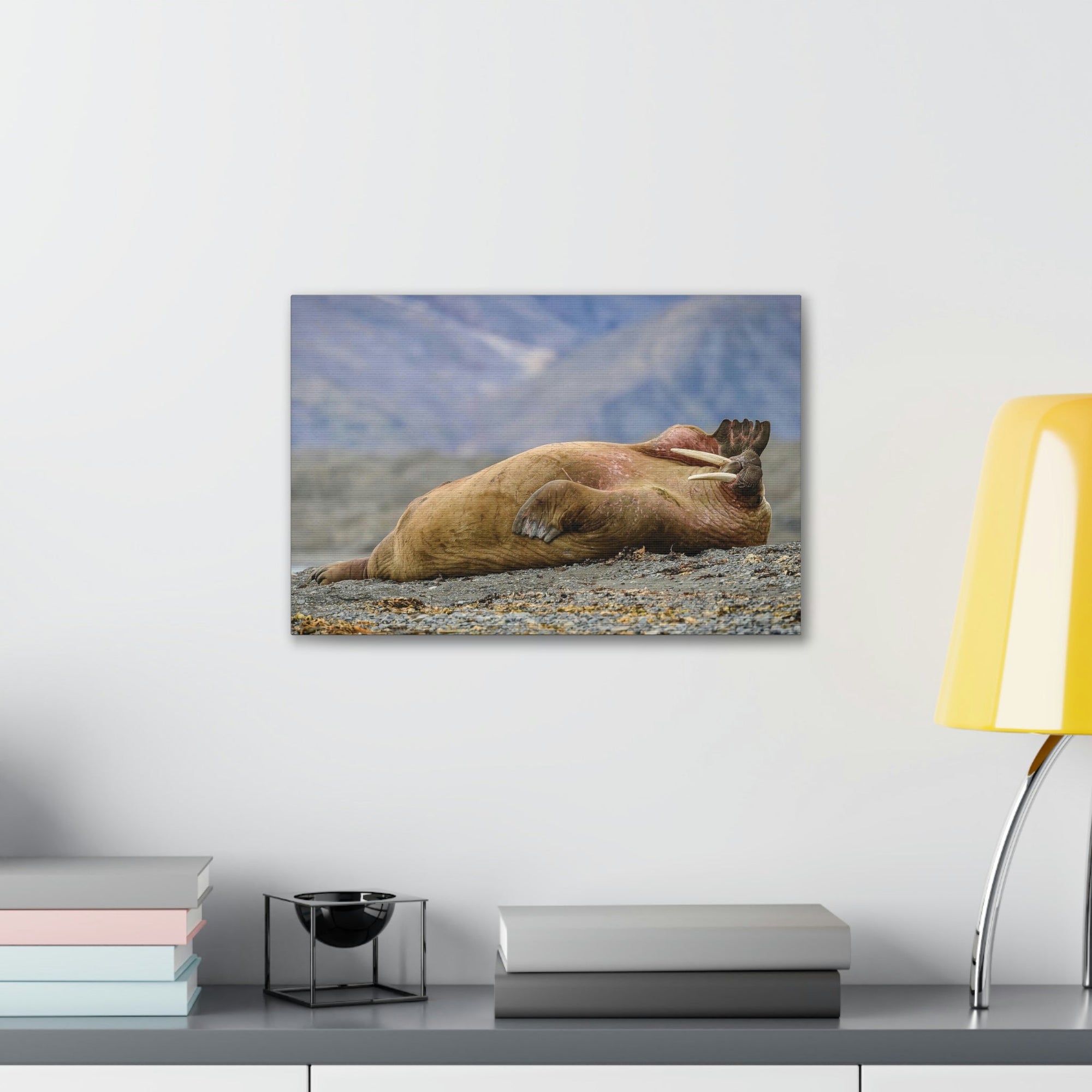 Funny Walrus Sill Walrus Outside Wall Art Ready To Hang Unframed-Express Your Love Gifts