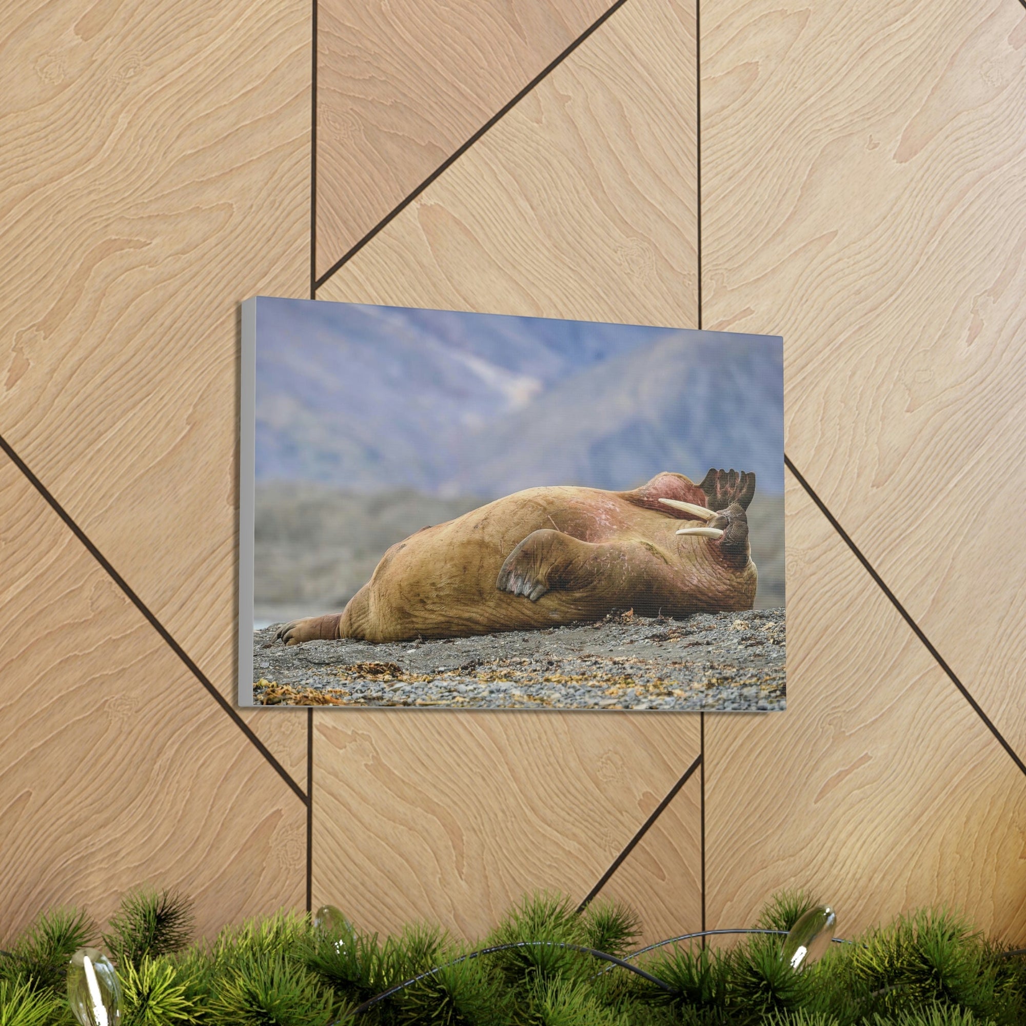 Funny Walrus Sill Walrus Outside Wall Art Ready To Hang Unframed-Express Your Love Gifts