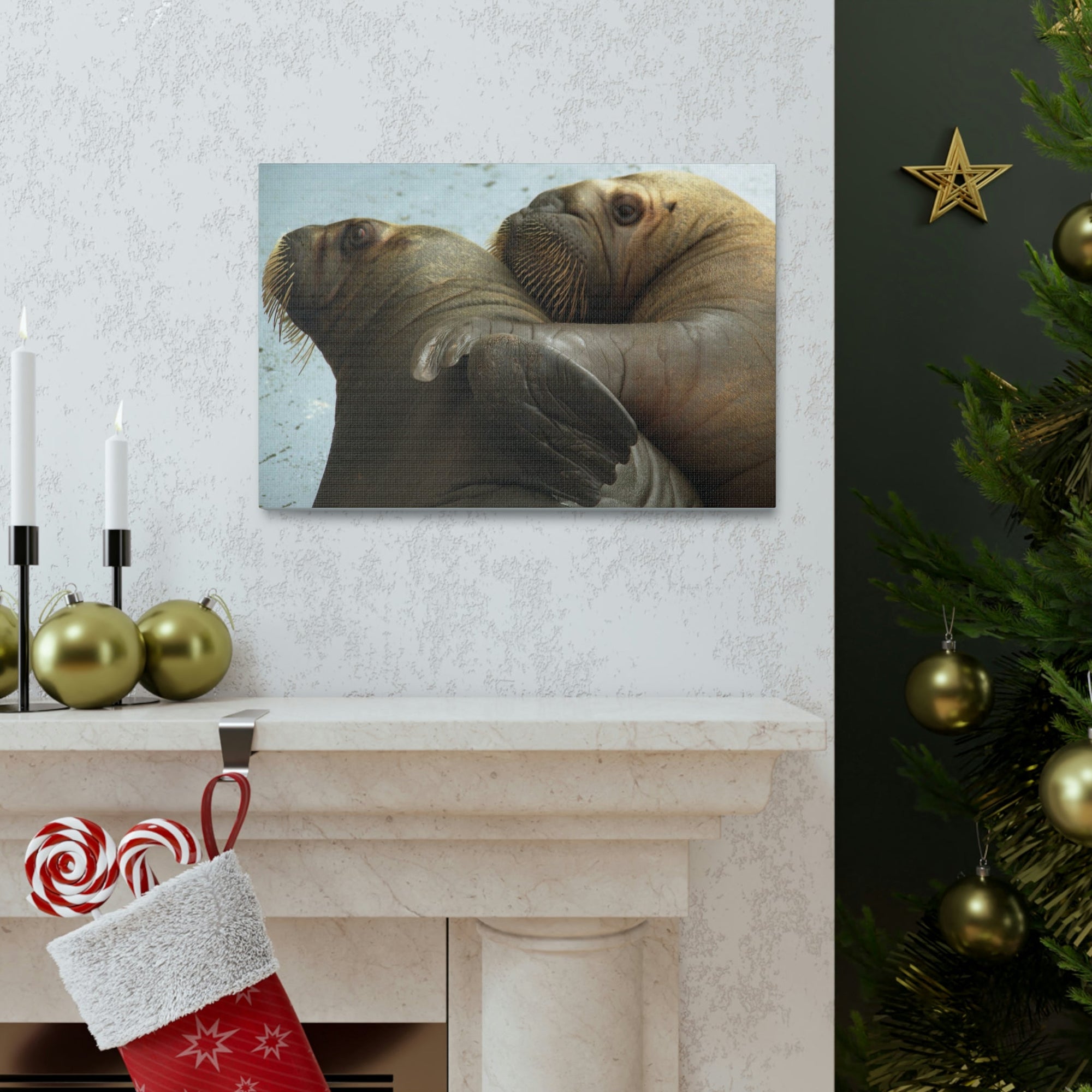 Funny Walrus Silly Walrus Couple Wall Art Ready To Hang Unframed-Express Your Love Gifts