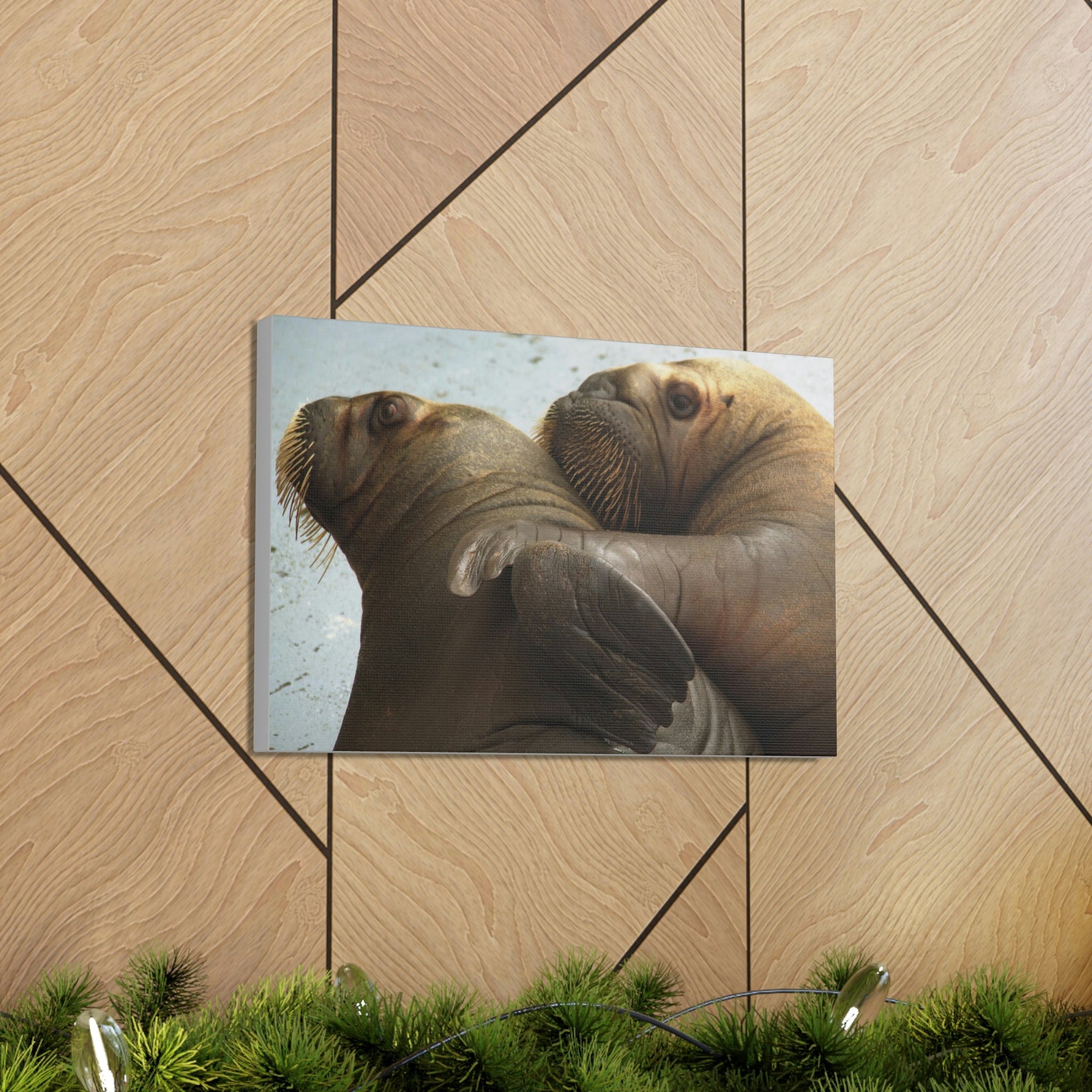 Funny Walrus Silly Walrus Couple Wall Art Ready To Hang Unframed-Express Your Love Gifts