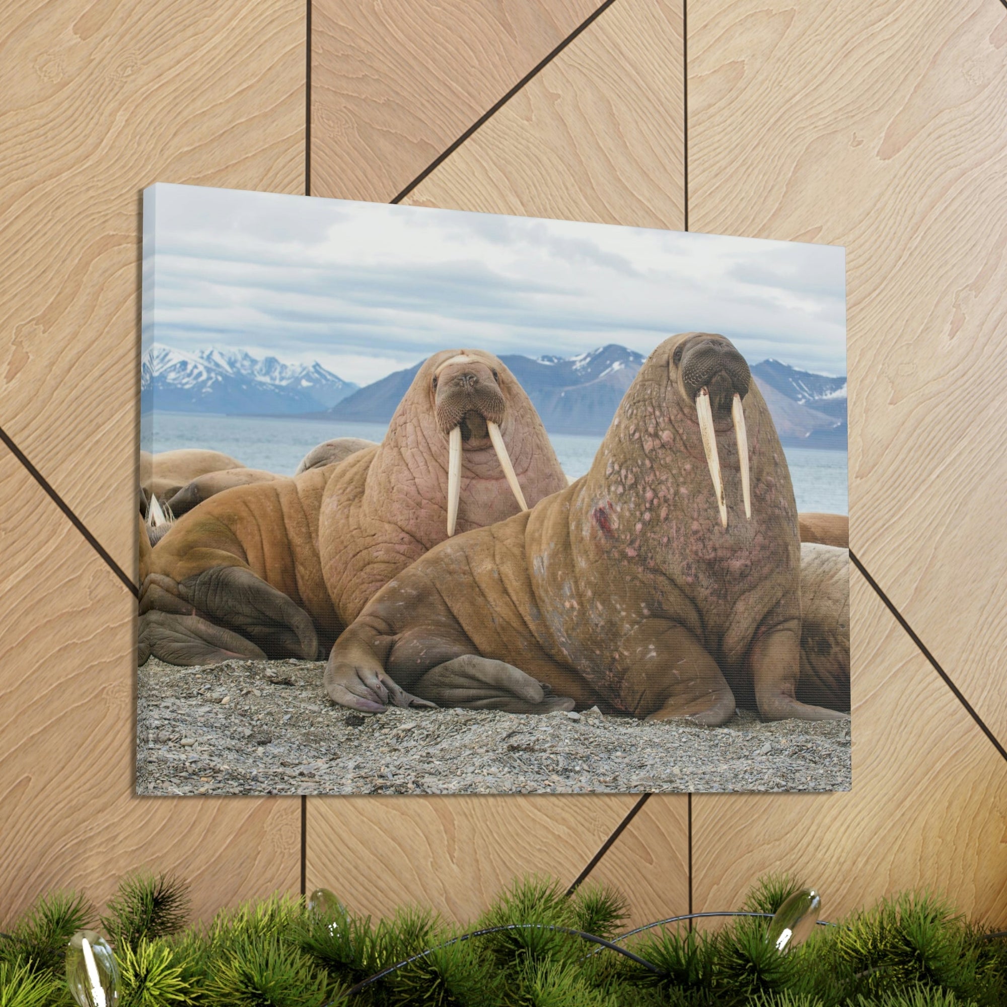 Funny Walrus Silly Walrus Scene Couple Wall Art Ready to Hang Unframed-Express Your Love Gifts