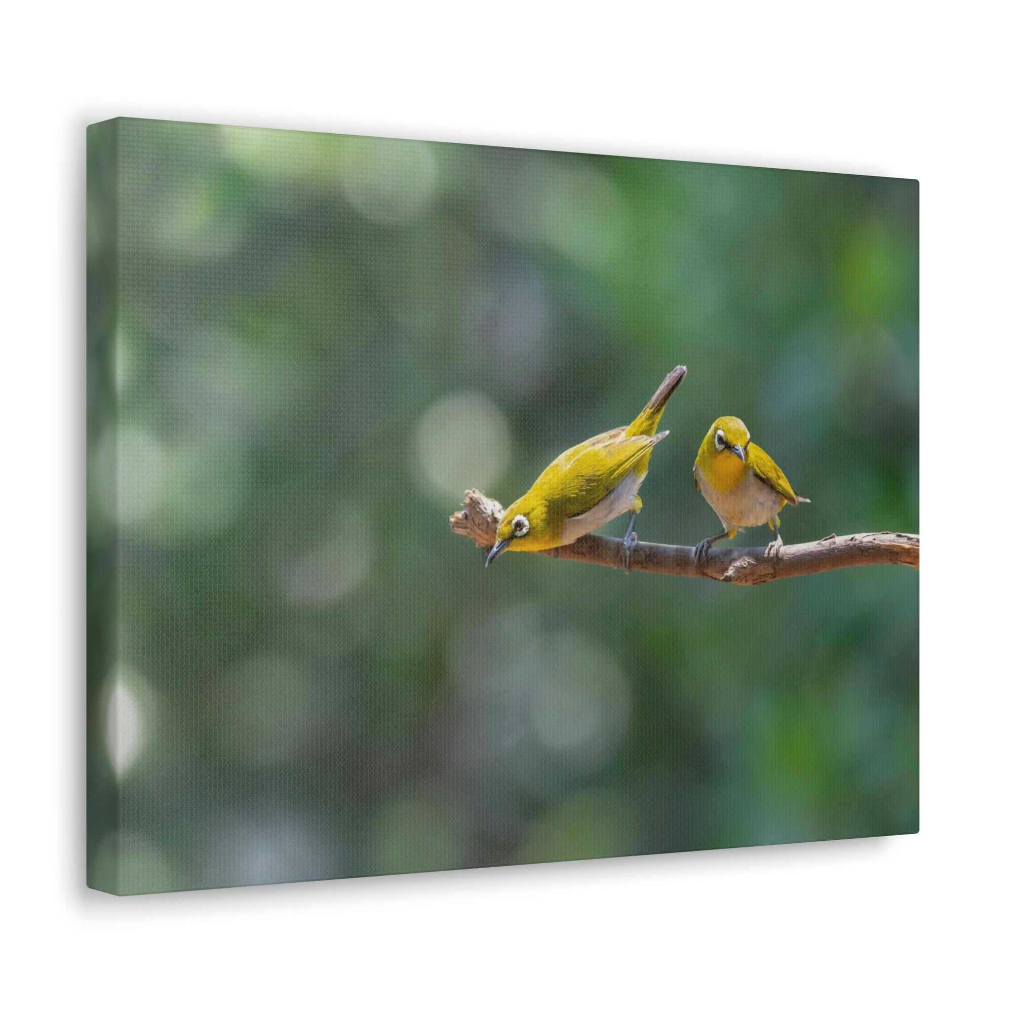 Funny Warbler Silly Warbler Scene Couple Wall Art Ready to Hang Unframed-Express Your Love Gifts