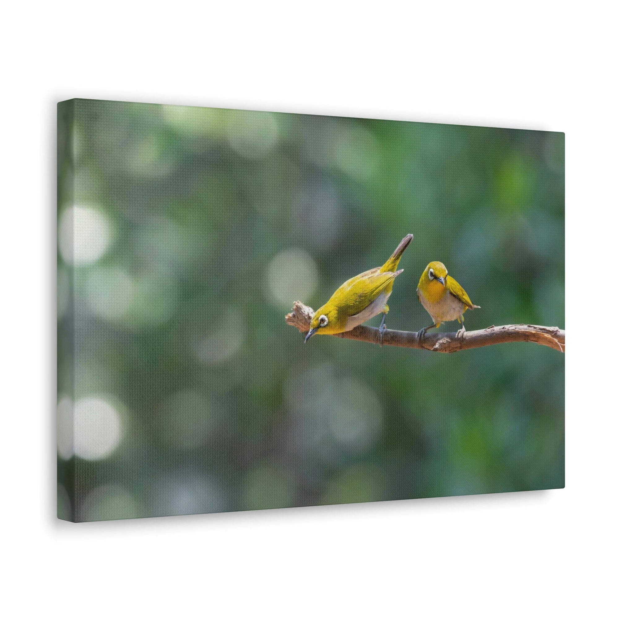 Funny Warbler Silly Warbler Scene Couple Wall Art Ready to Hang Unframed-Express Your Love Gifts