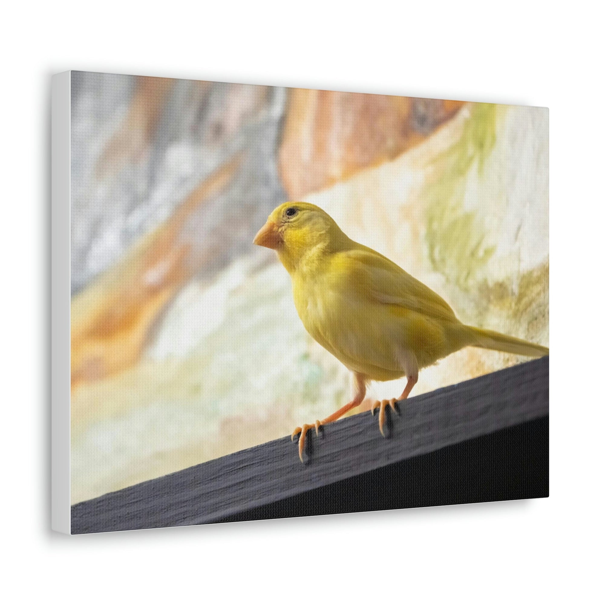 Funny Warbler Silly Warbler Scene Inside Wall Art Ready to Hang Unframed-Express Your Love Gifts