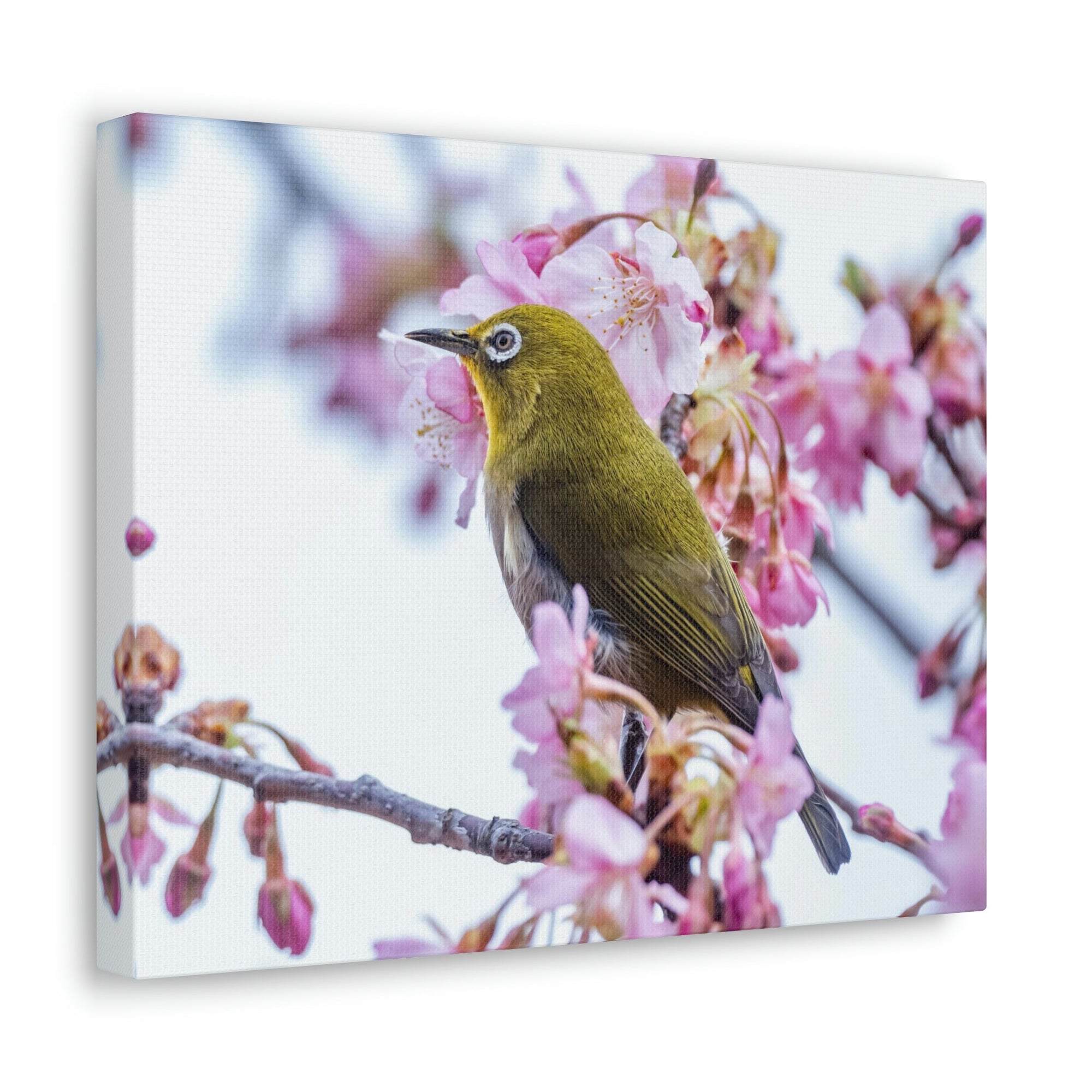 Funny Warbler Silly Warbler Scene Outside Wall Art Ready to Hang Unframed-Express Your Love Gifts