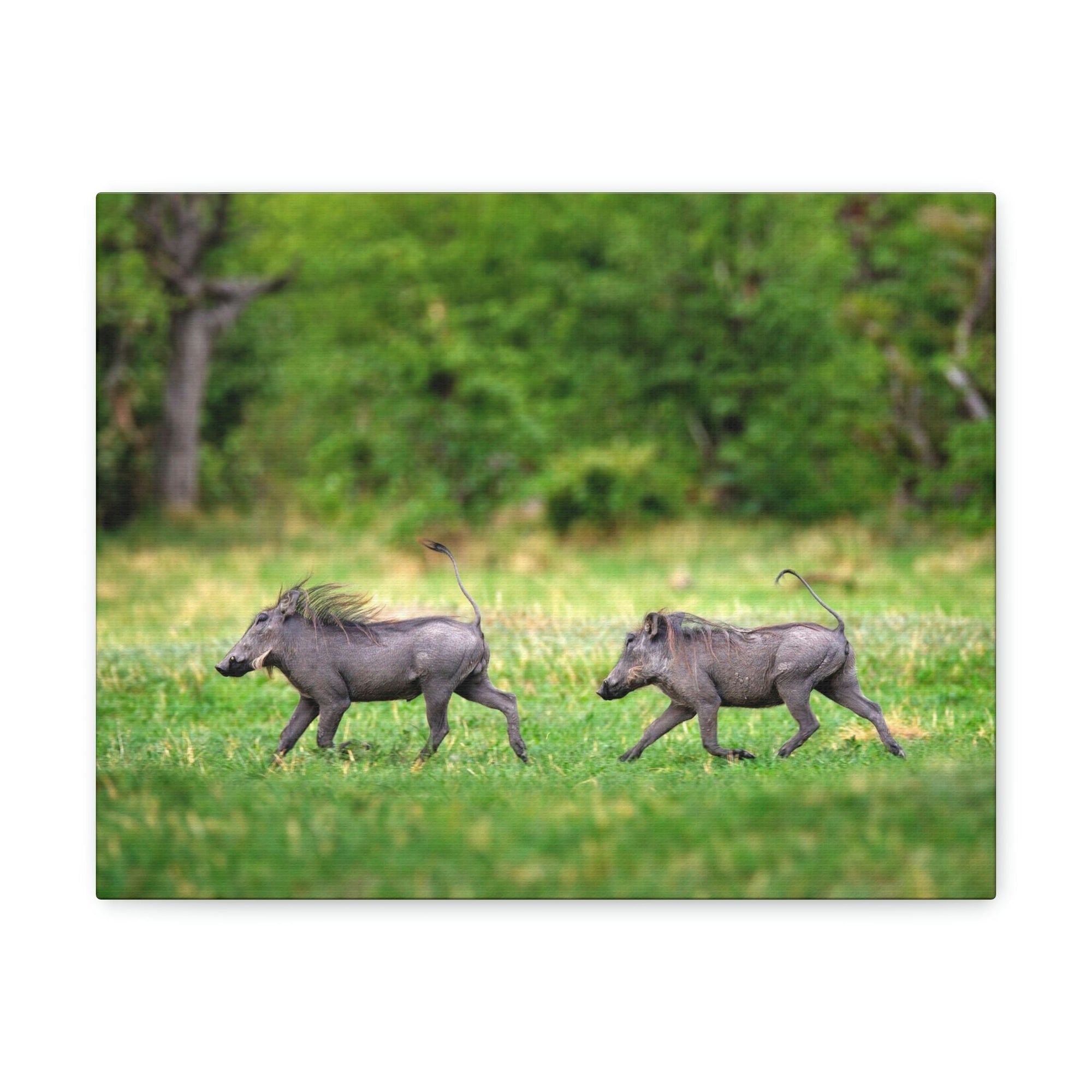 Funny Warthog Silly Warthog Scene Couple Wall Art Ready to Hang Unframed-Express Your Love Gifts