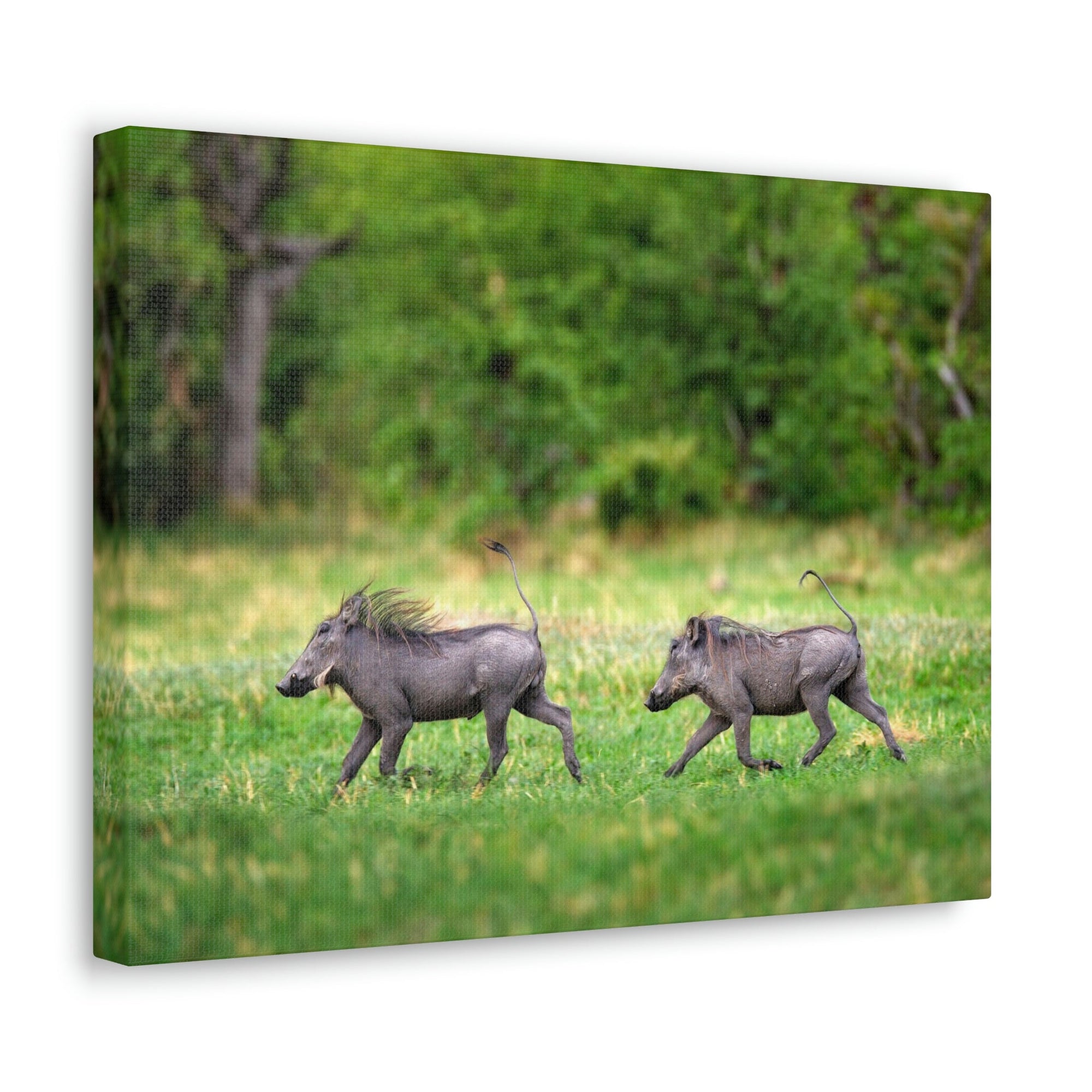 Funny Warthog Silly Warthog Scene Couple Wall Art Ready to Hang Unframed-Express Your Love Gifts