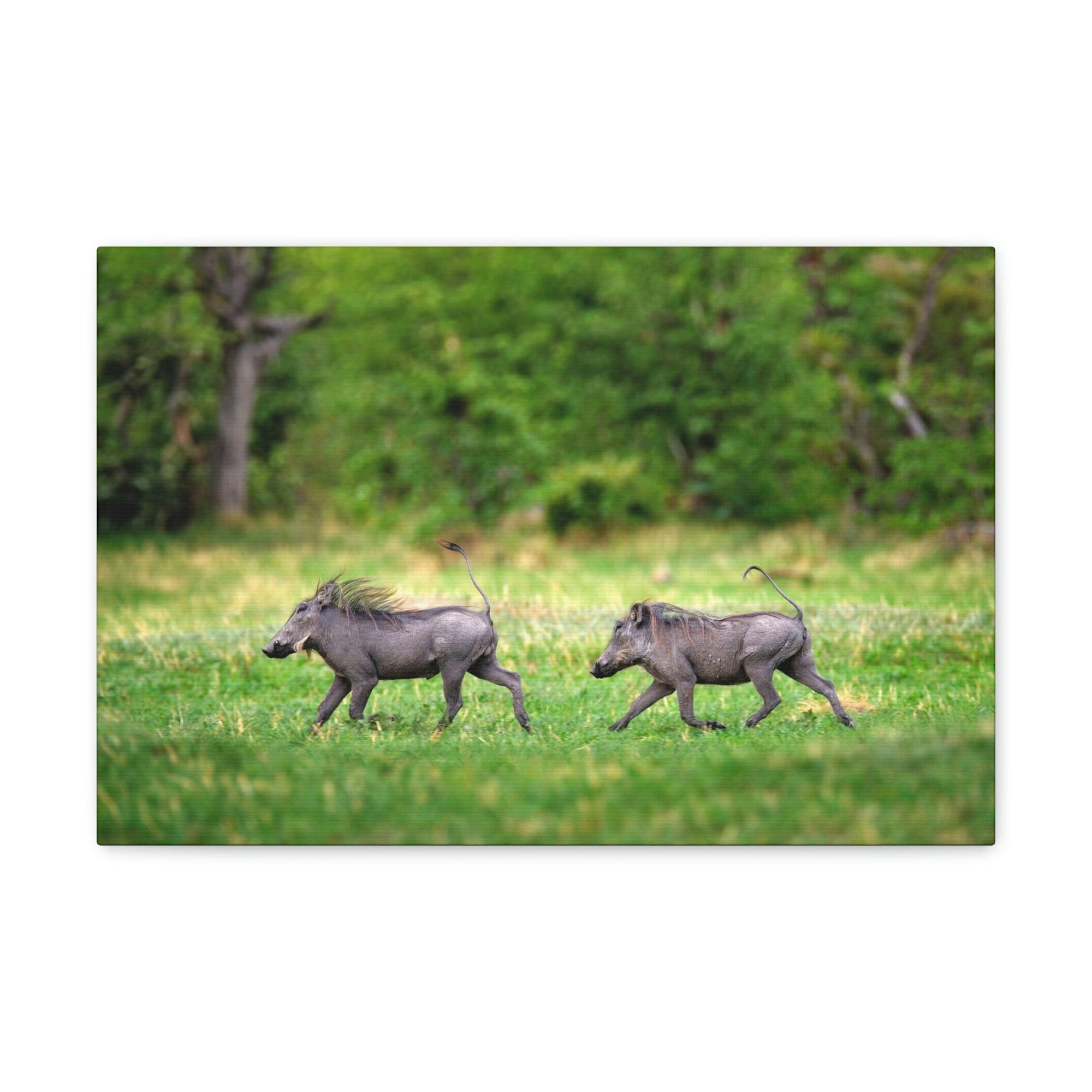 Funny Warthog Silly Warthog Scene Couple Wall Art Ready to Hang Unframed-Express Your Love Gifts