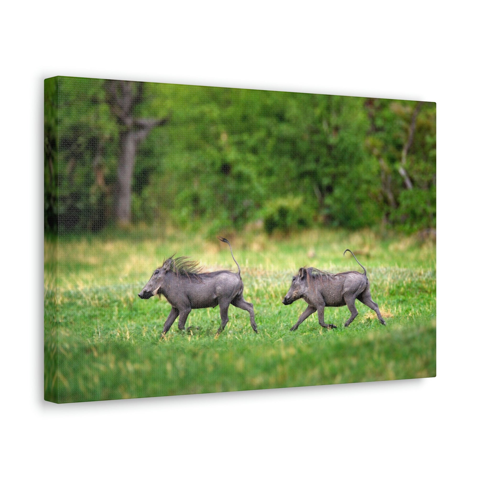 Funny Warthog Silly Warthog Scene Couple Wall Art Ready to Hang Unframed-Express Your Love Gifts