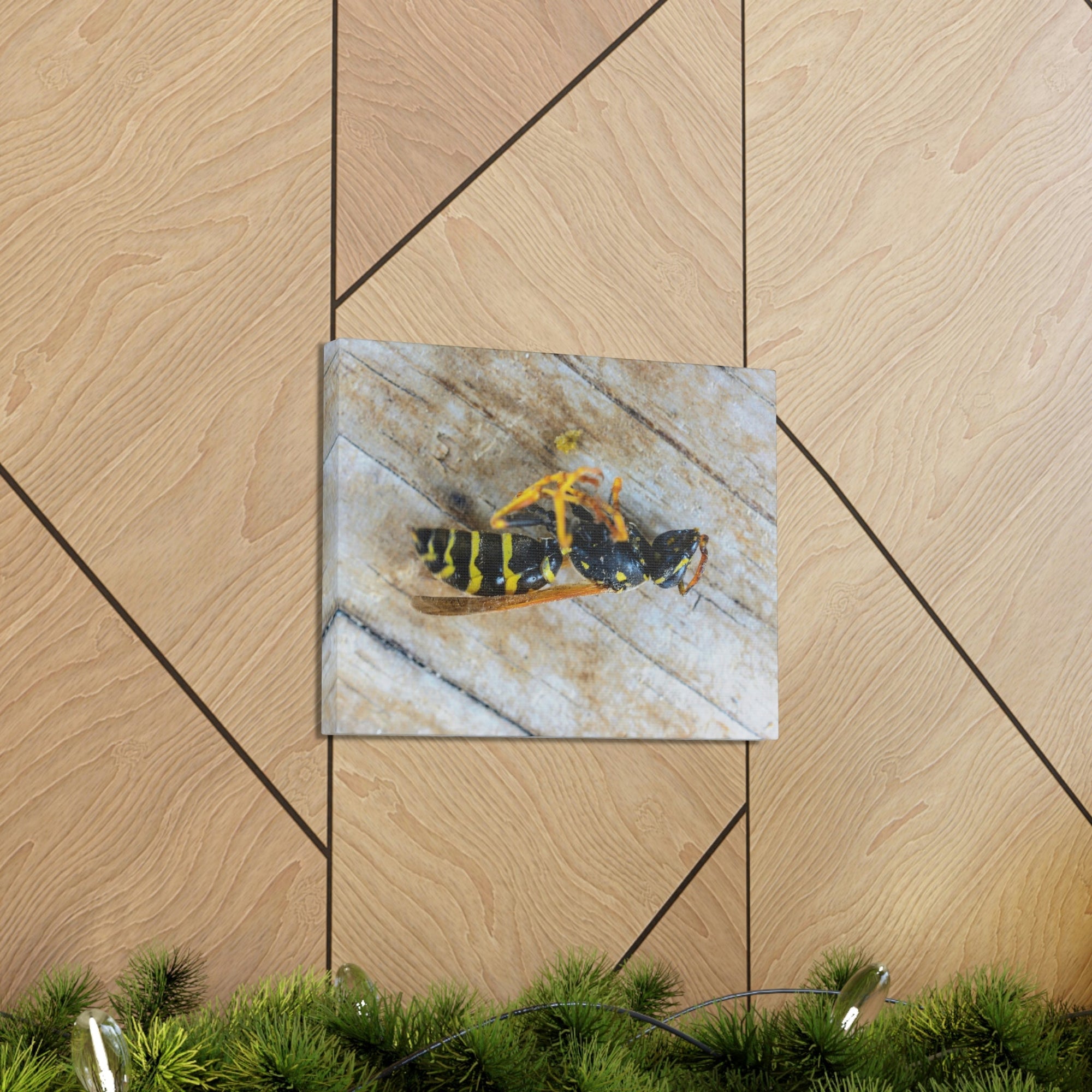 Funny Wasp Silly Wasp Scene Inside Wall Art Ready to Hang Unframed-Express Your Love Gifts