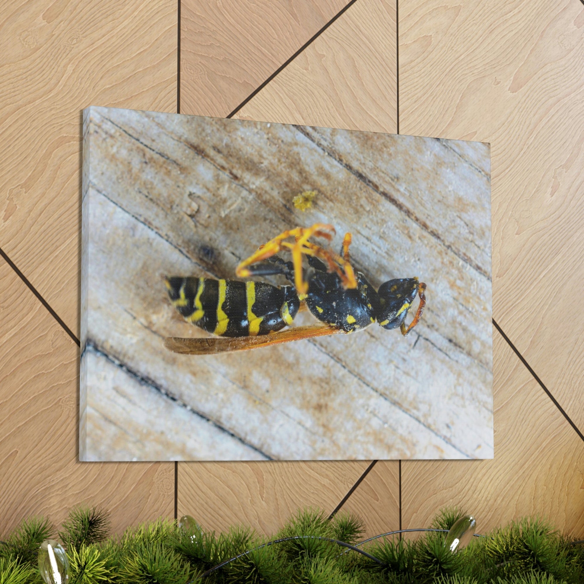 Funny Wasp Silly Wasp Scene Inside Wall Art Ready to Hang Unframed-Express Your Love Gifts