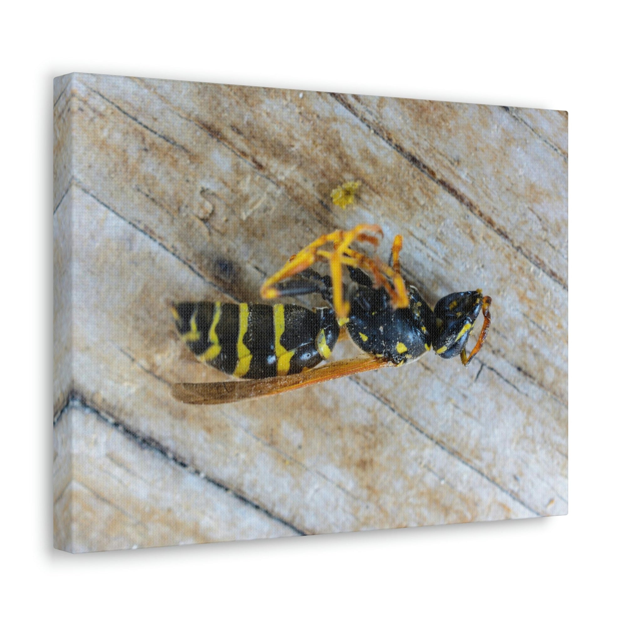 Funny Wasp Silly Wasp Scene Inside Wall Art Ready to Hang Unframed-Express Your Love Gifts