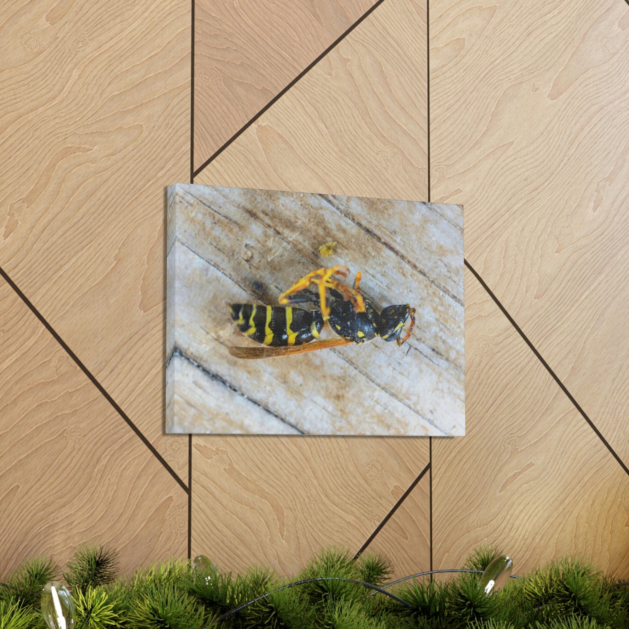 Funny Wasp Silly Wasp Scene Inside Wall Art Ready to Hang Unframed-Express Your Love Gifts