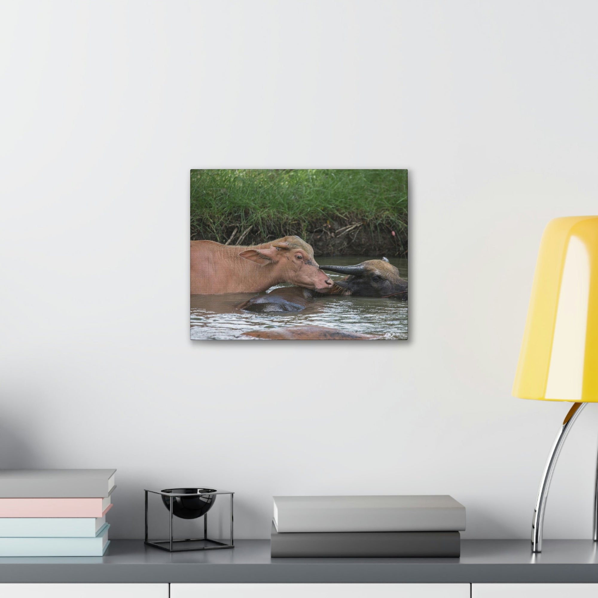 Funny Water Buffalo Silly Water Buffalo Scene Couple Wall Art Ready to Hang Unframed-Express Your Love Gifts