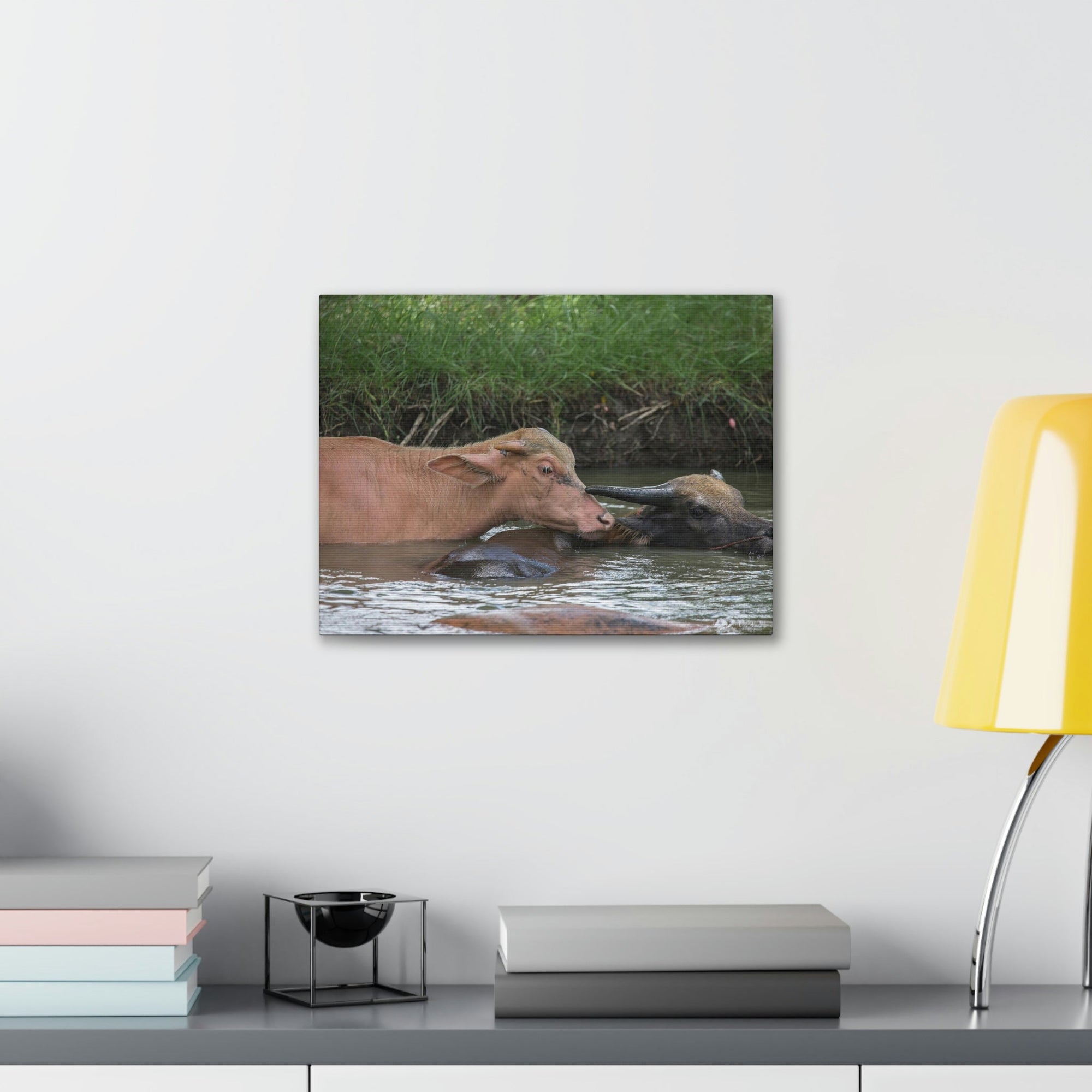 Funny Water Buffalo Silly Water Buffalo Scene Couple Wall Art Ready to Hang Unframed-Express Your Love Gifts