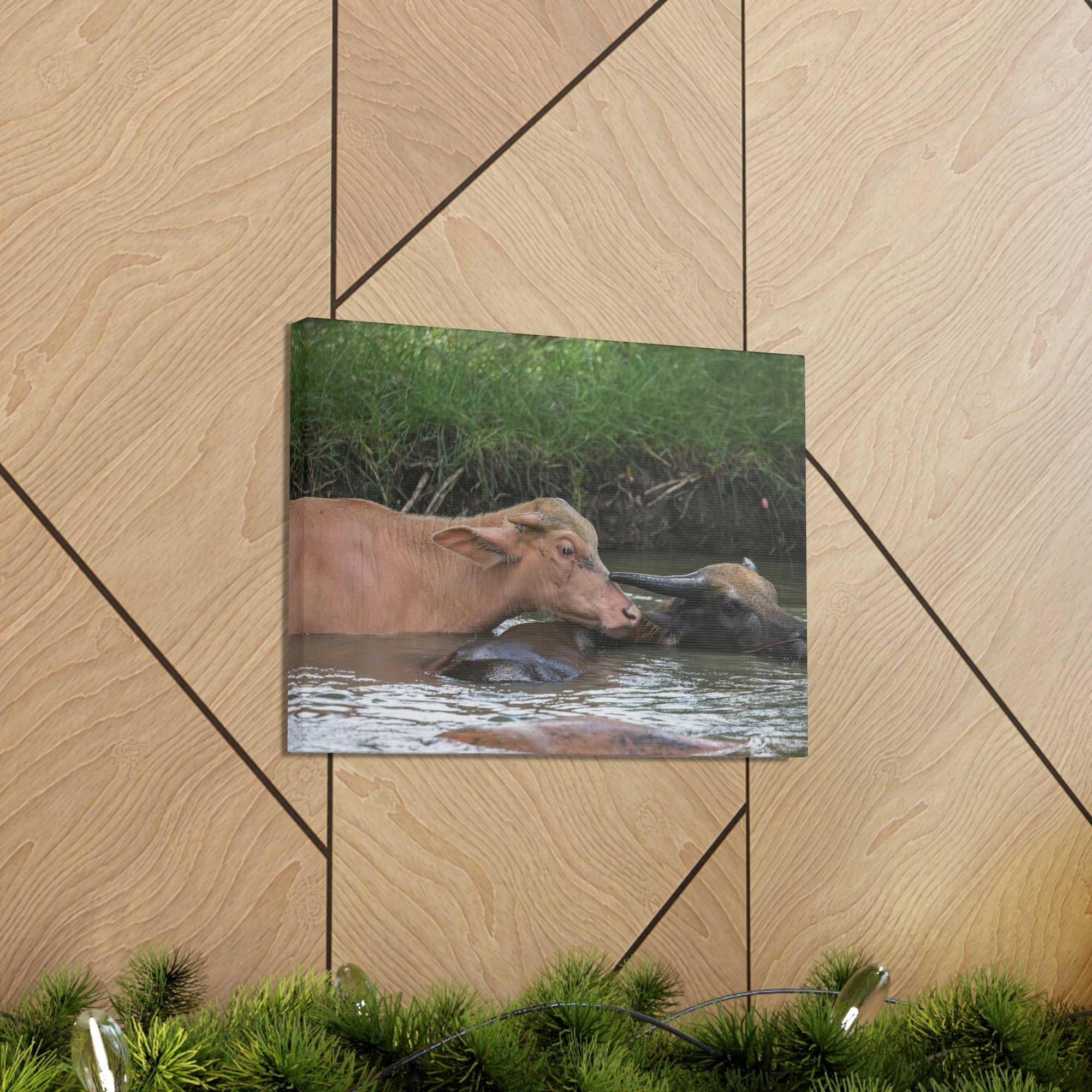 Funny Water Buffalo Silly Water Buffalo Scene Couple Wall Art Ready to Hang Unframed-Express Your Love Gifts