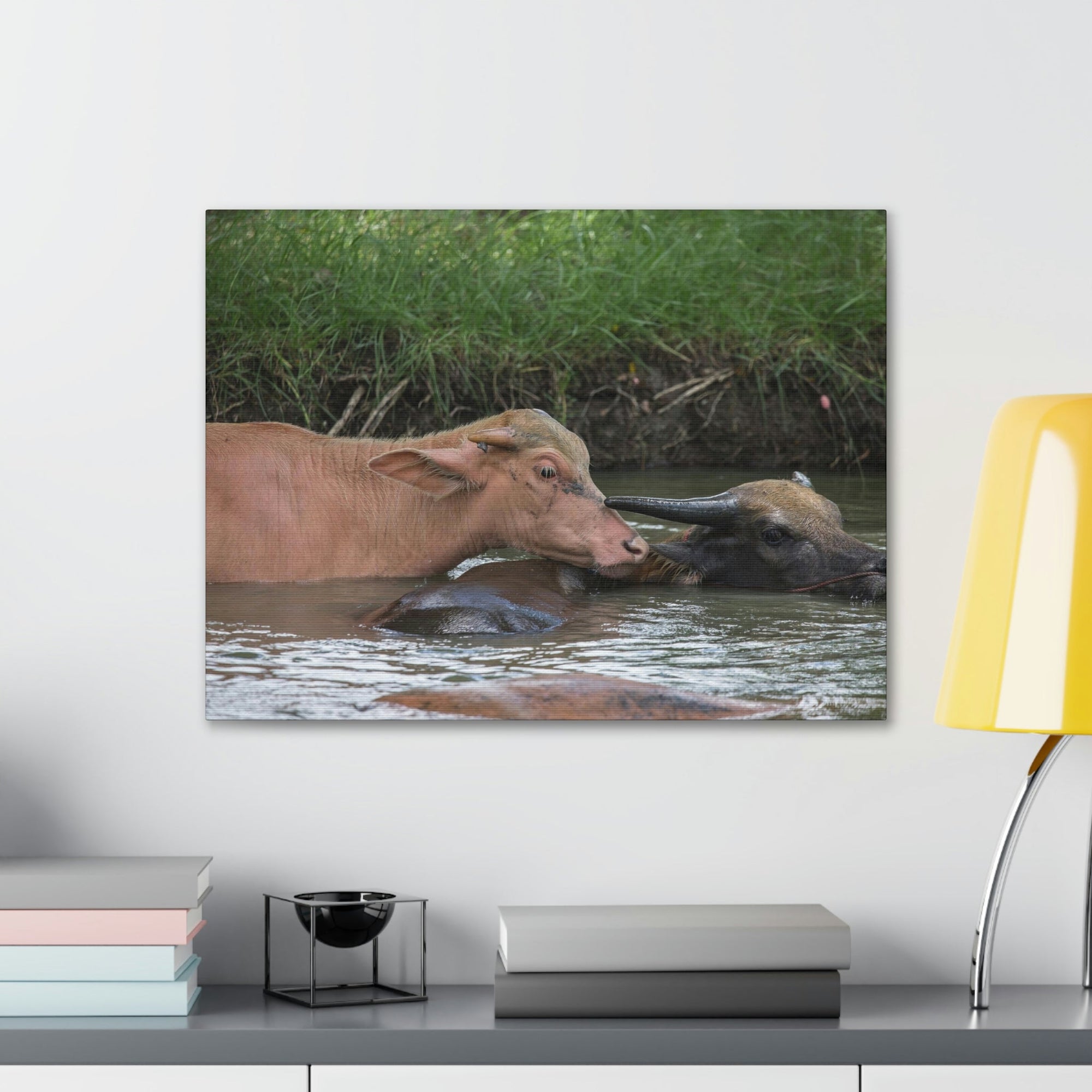 Funny Water Buffalo Silly Water Buffalo Scene Couple Wall Art Ready to Hang Unframed-Express Your Love Gifts