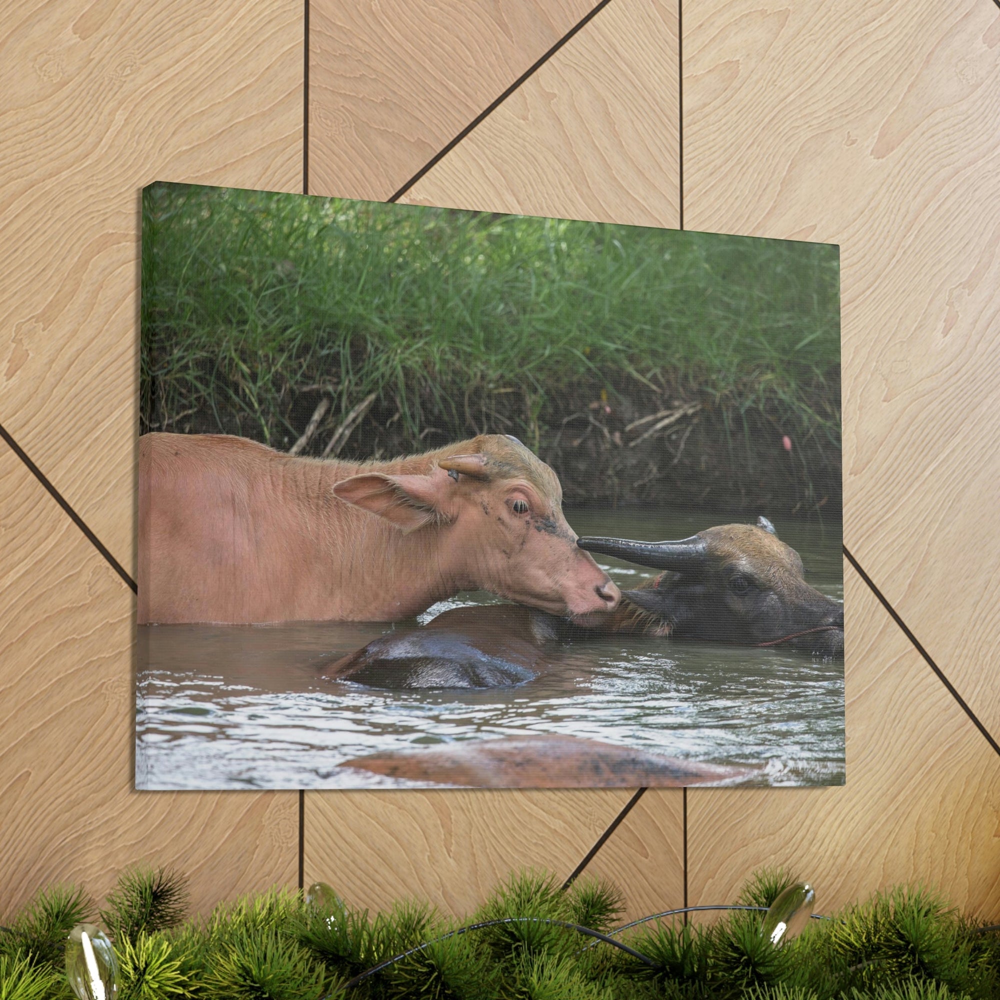 Funny Water Buffalo Silly Water Buffalo Scene Couple Wall Art Ready to Hang Unframed-Express Your Love Gifts