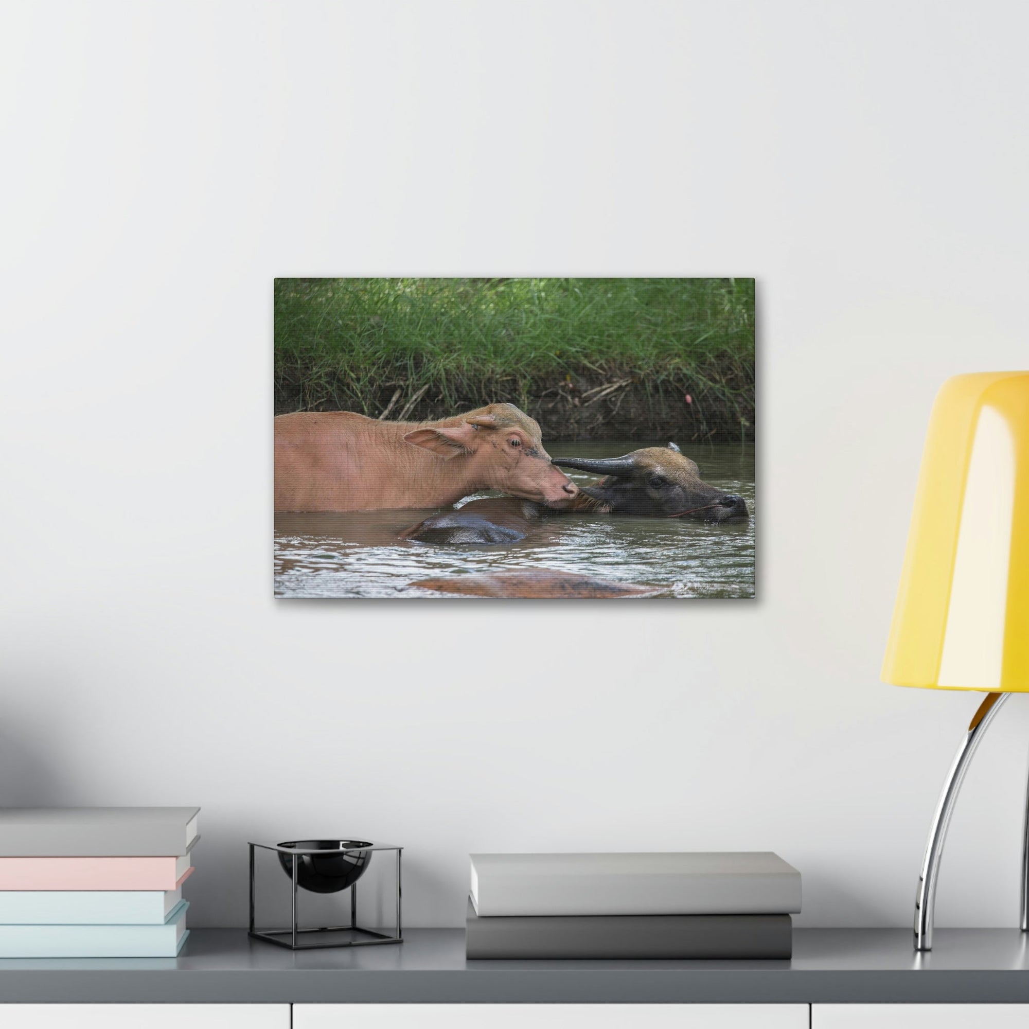 Funny Water Buffalo Silly Water Buffalo Scene Couple Wall Art Ready to Hang Unframed-Express Your Love Gifts