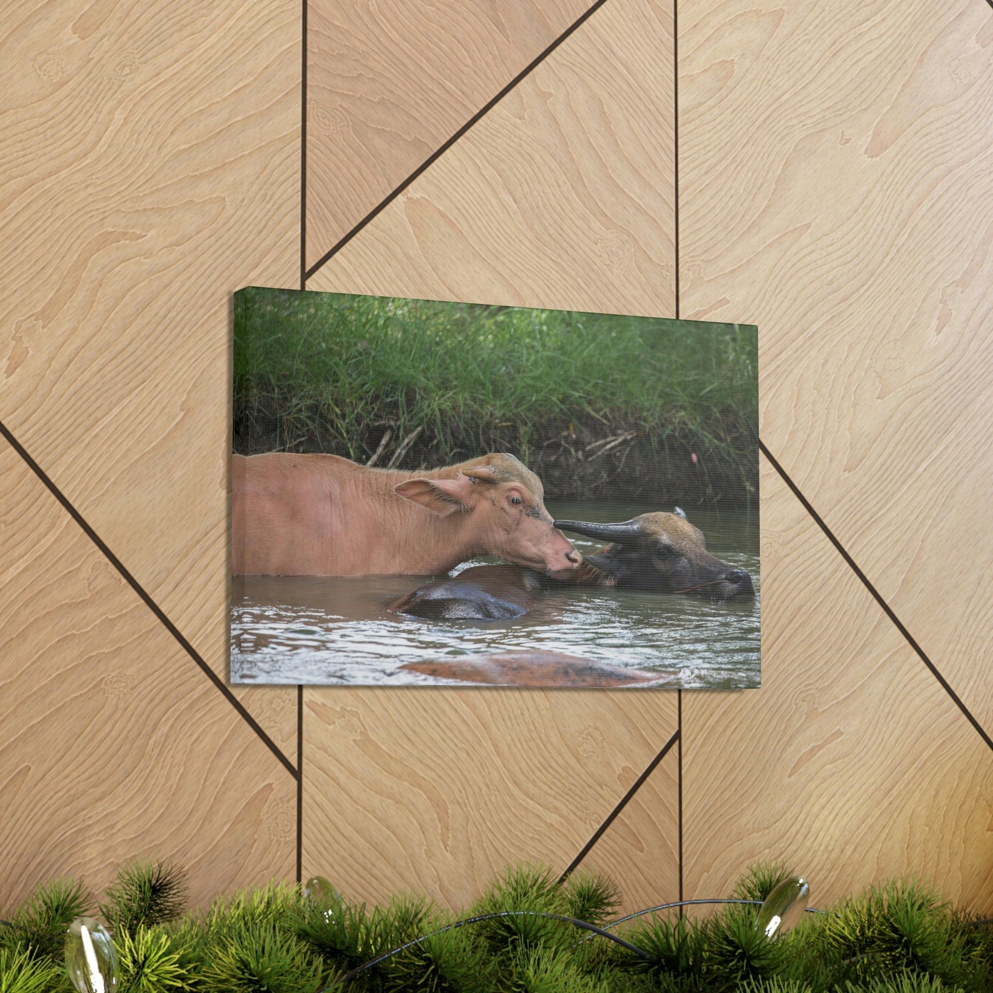 Funny Water Buffalo Silly Water Buffalo Scene Couple Wall Art Ready to Hang Unframed-Express Your Love Gifts