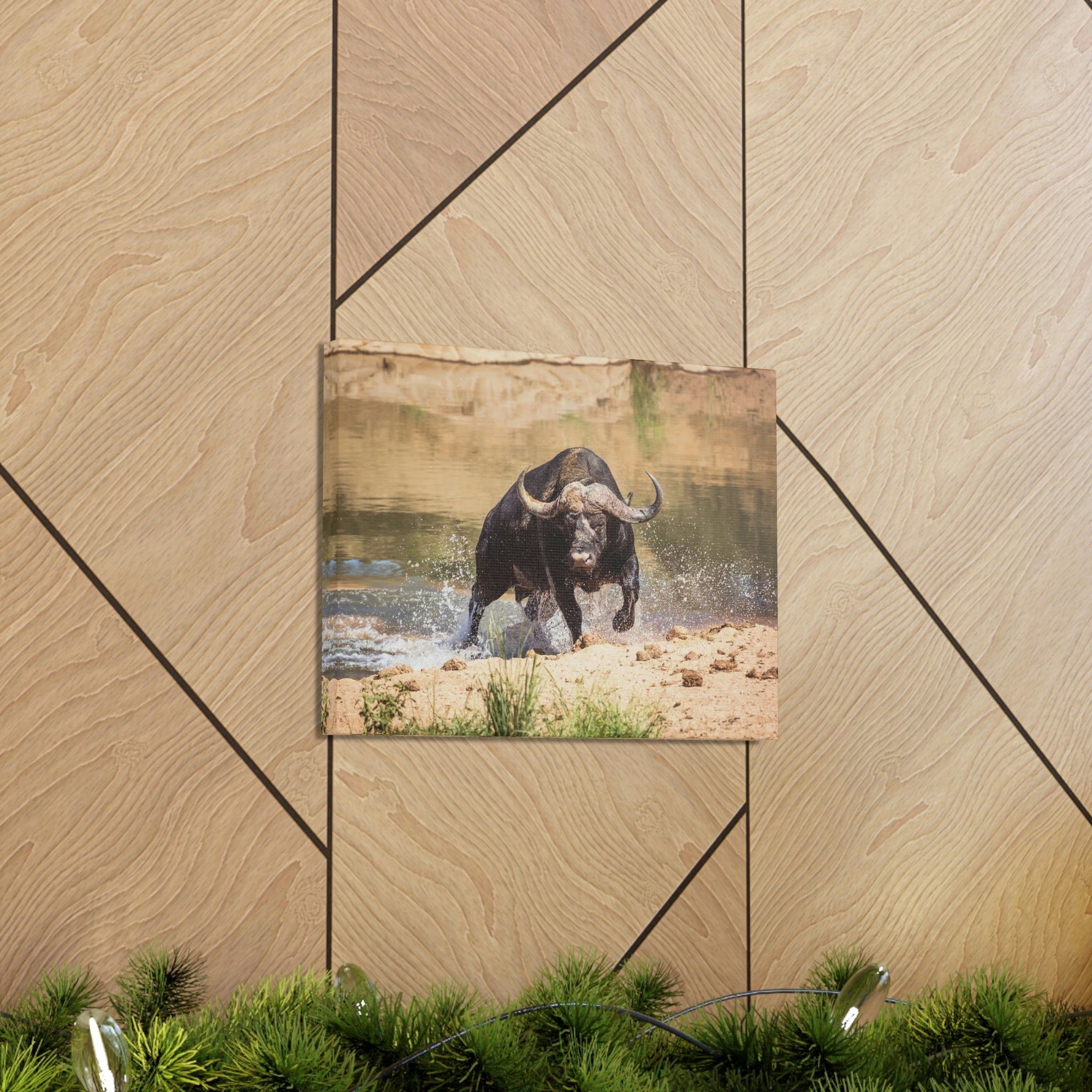 Funny Water Buffalo Silly Water Buffalo Scene Outside Wall Art Ready to Hang Unframed-Express Your Love Gifts