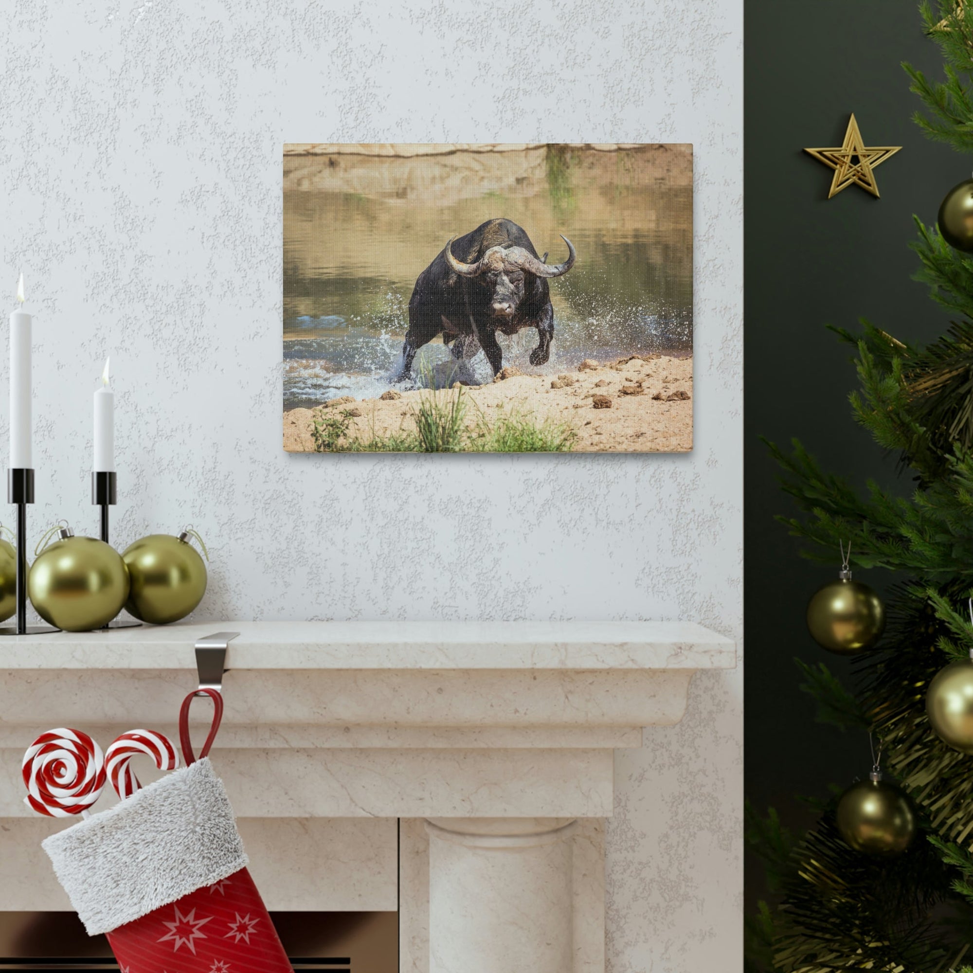 Funny Water Buffalo Silly Water Buffalo Scene Outside Wall Art Ready to Hang Unframed-Express Your Love Gifts