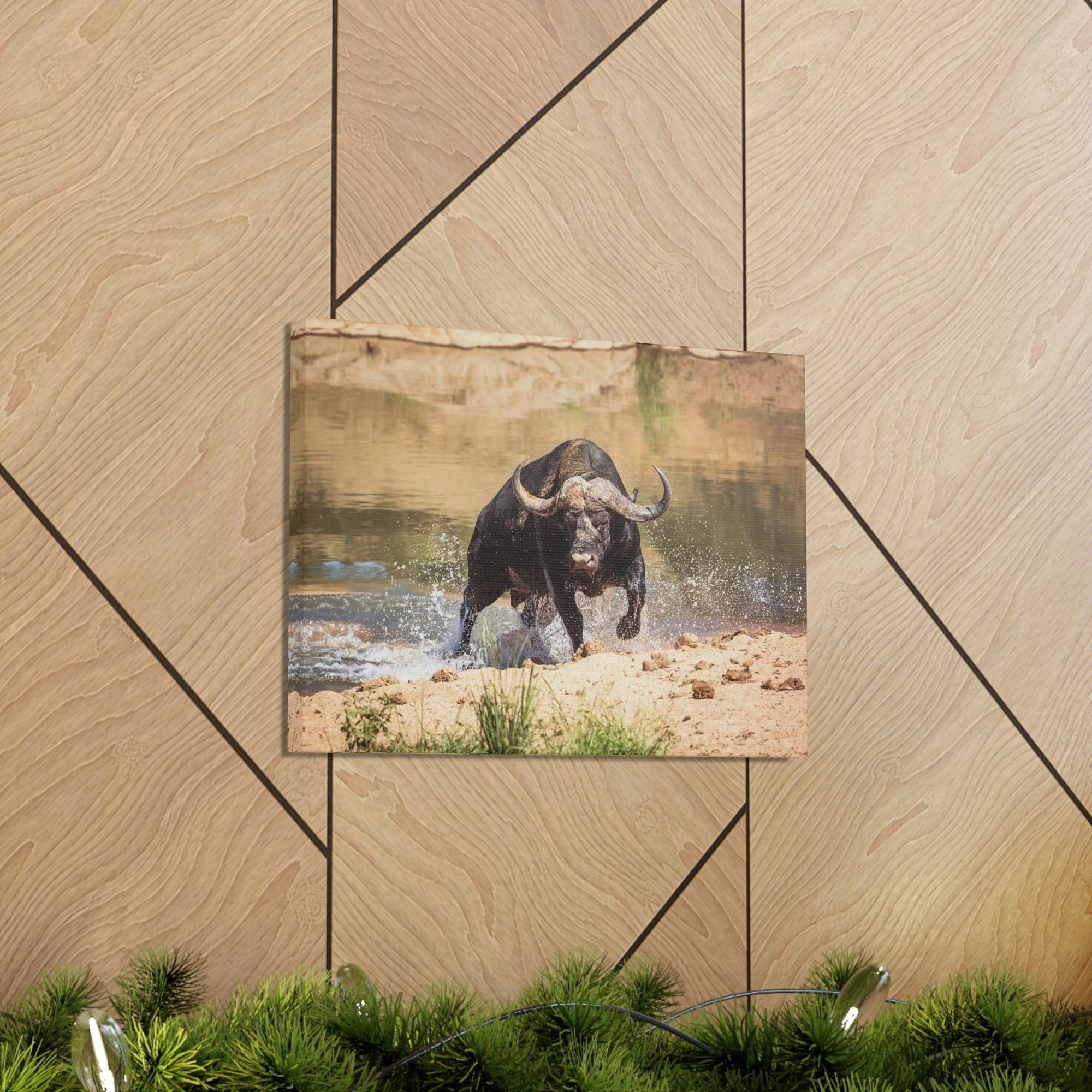 Funny Water Buffalo Silly Water Buffalo Scene Outside Wall Art Ready to Hang Unframed-Express Your Love Gifts