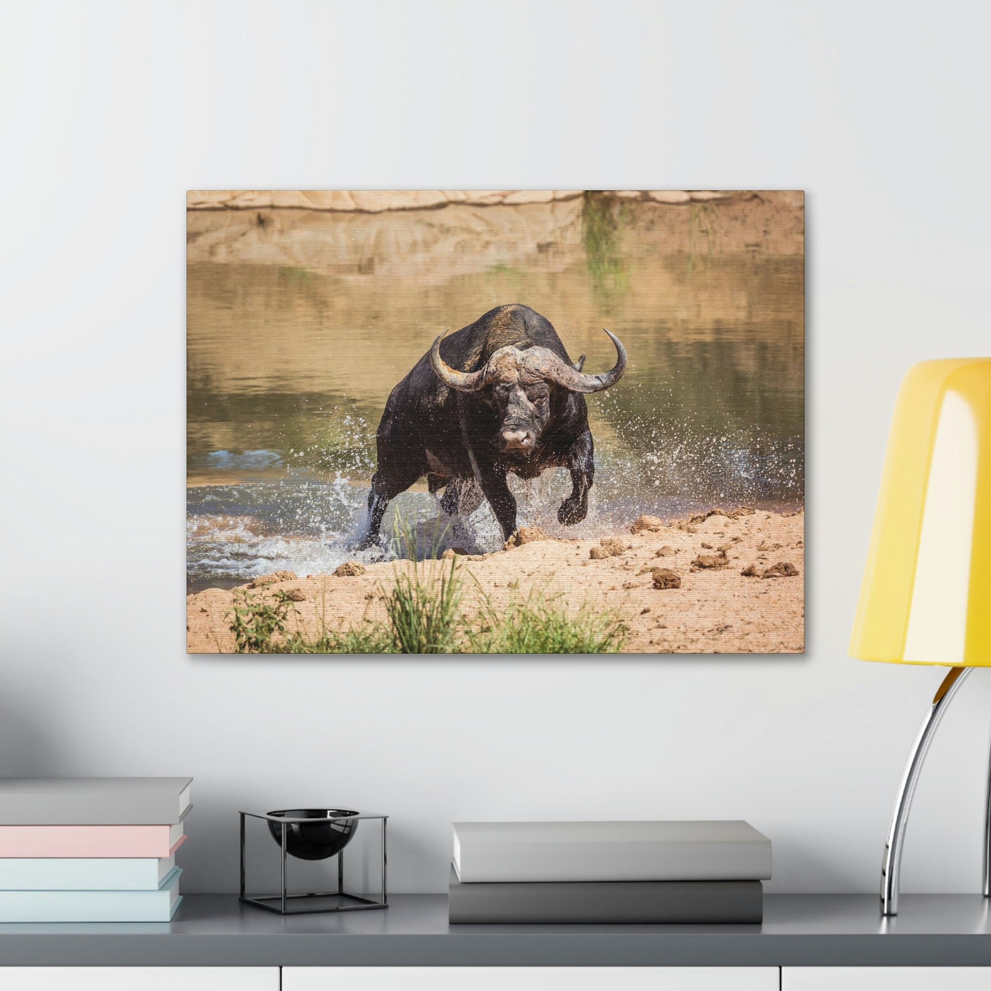 Funny Water Buffalo Silly Water Buffalo Scene Outside Wall Art Ready to Hang Unframed-Express Your Love Gifts