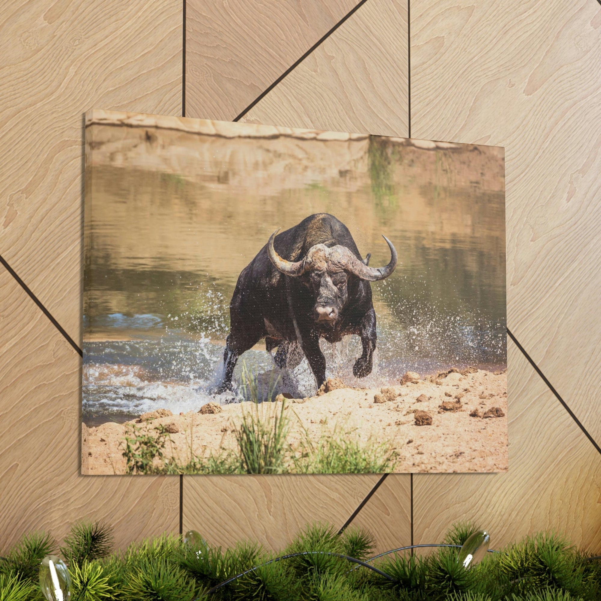 Funny Water Buffalo Silly Water Buffalo Scene Outside Wall Art Ready to Hang Unframed-Express Your Love Gifts