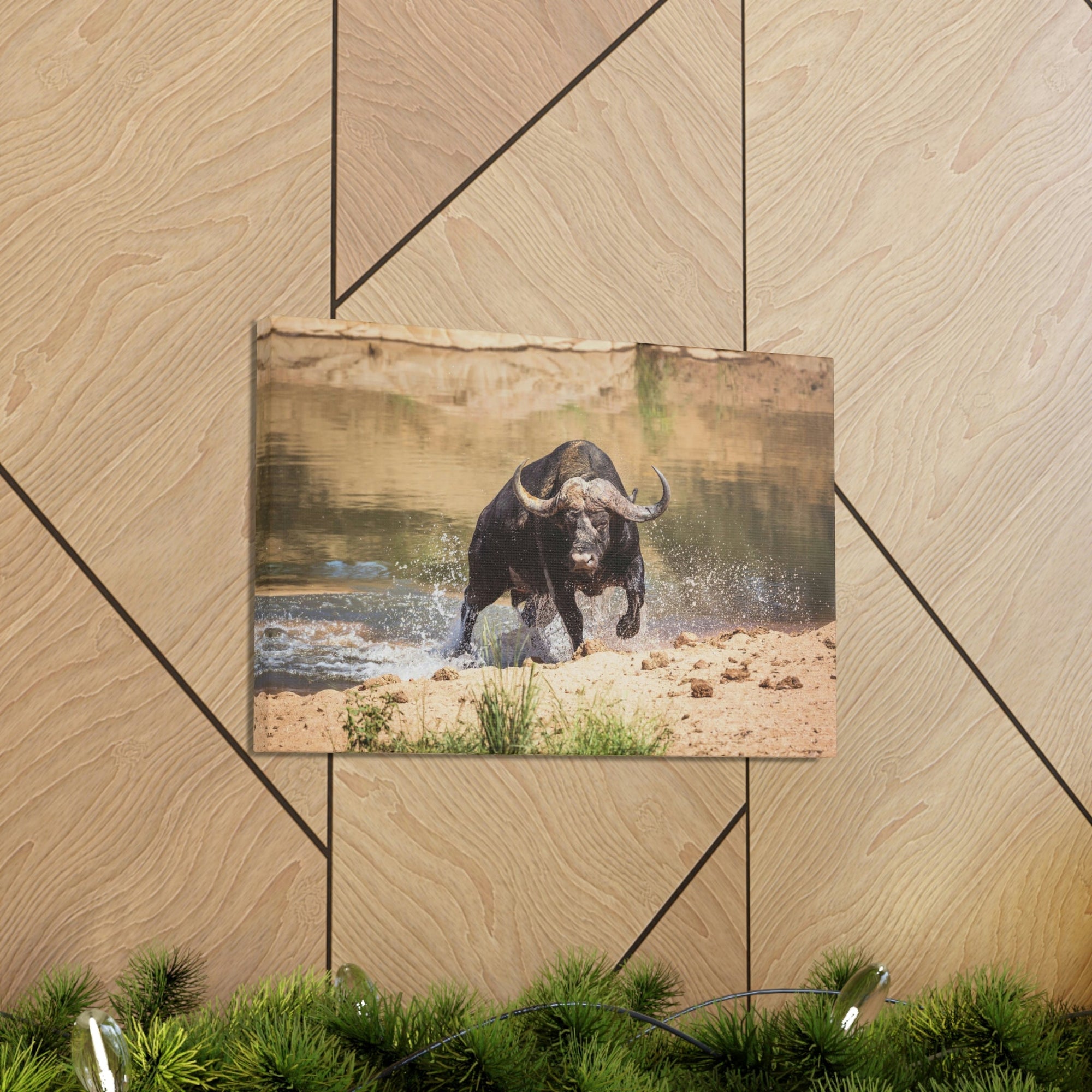 Funny Water Buffalo Silly Water Buffalo Scene Outside Wall Art Ready to Hang Unframed-Express Your Love Gifts