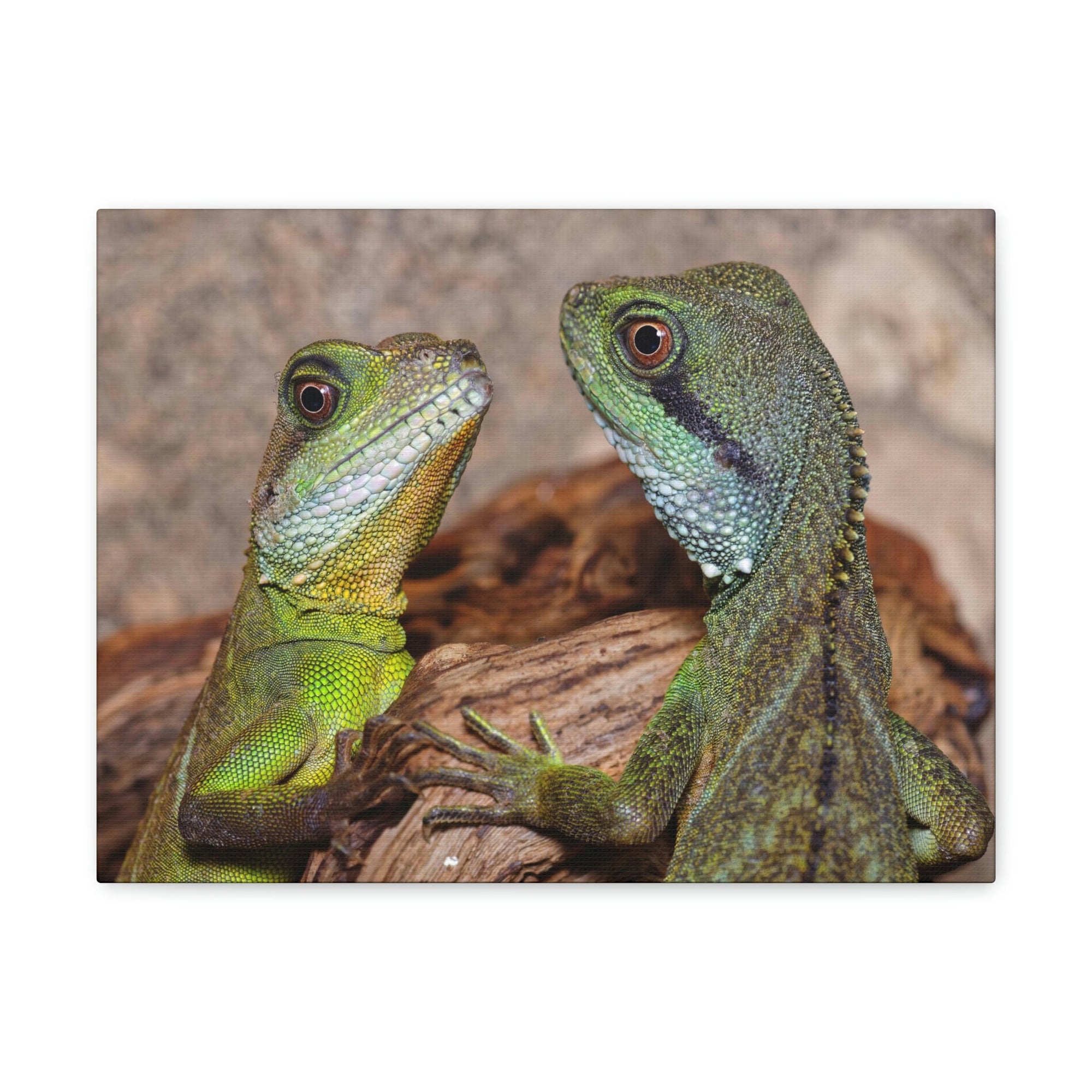 Funny Water Dragons Silly Water Dragons Scene Couple Wall Art Ready to Hang Unframed-Express Your Love Gifts