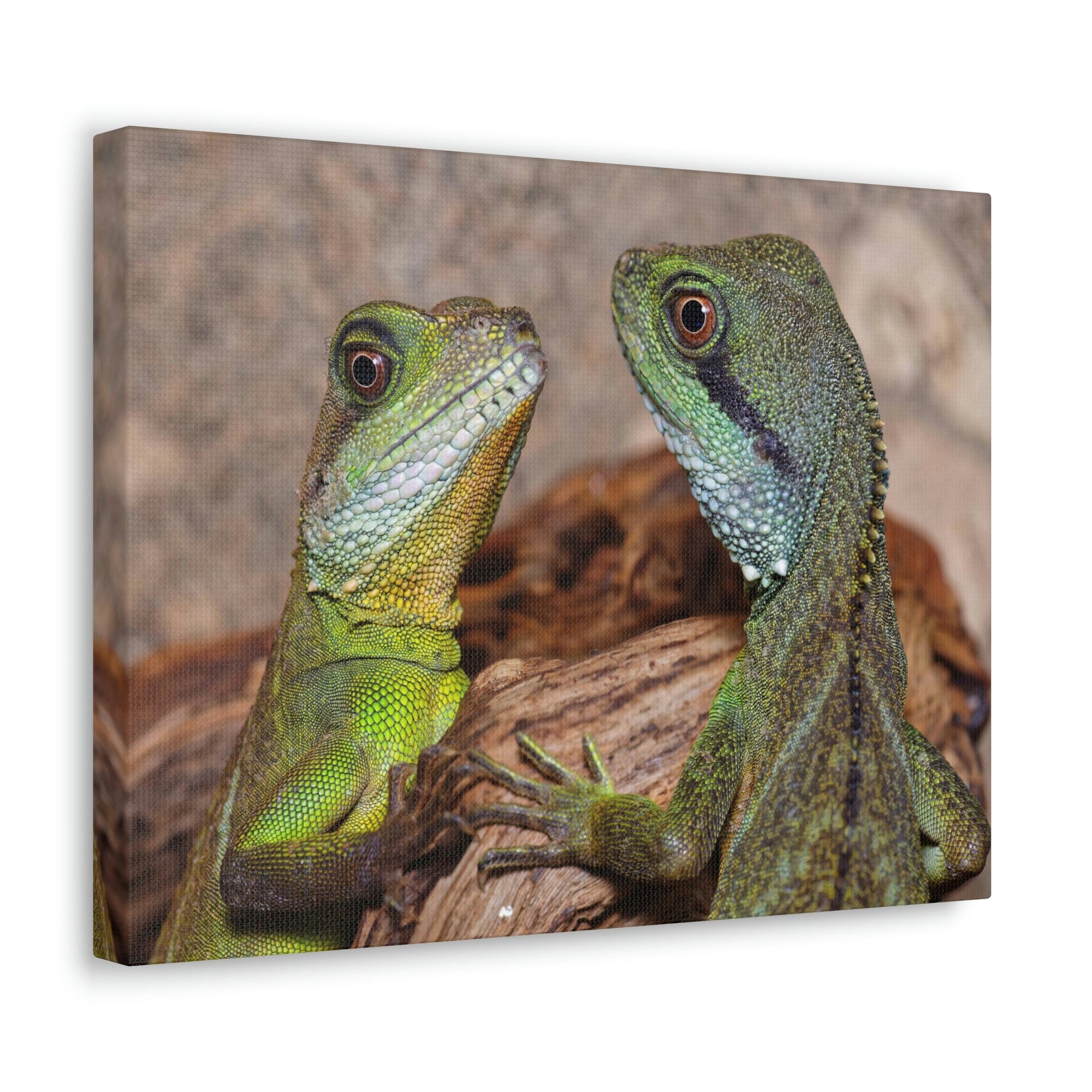 Funny Water Dragons Silly Water Dragons Scene Couple Wall Art Ready to Hang Unframed-Express Your Love Gifts