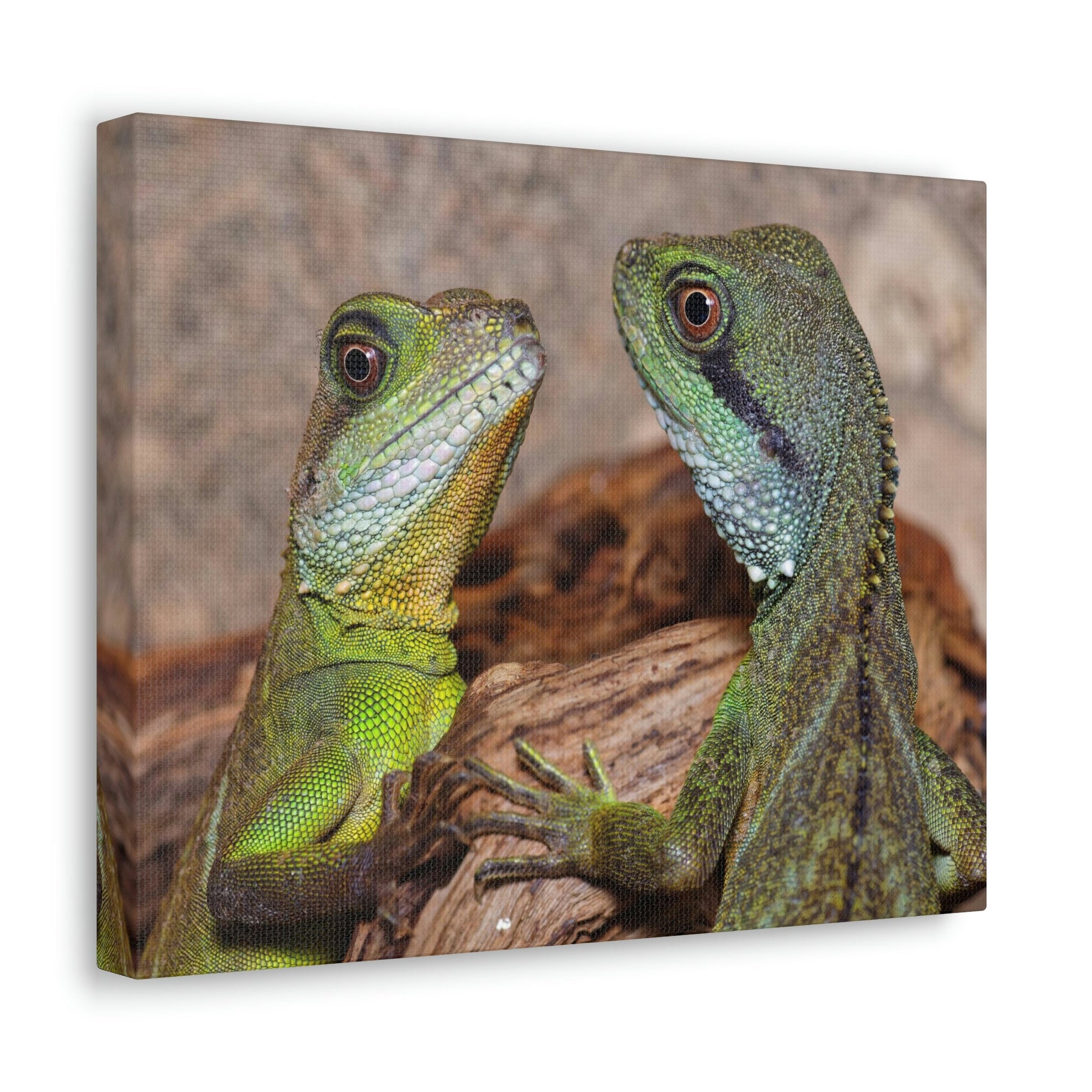 Funny Water Dragons Silly Water Dragons Scene Couple Wall Art Ready to Hang Unframed-Express Your Love Gifts