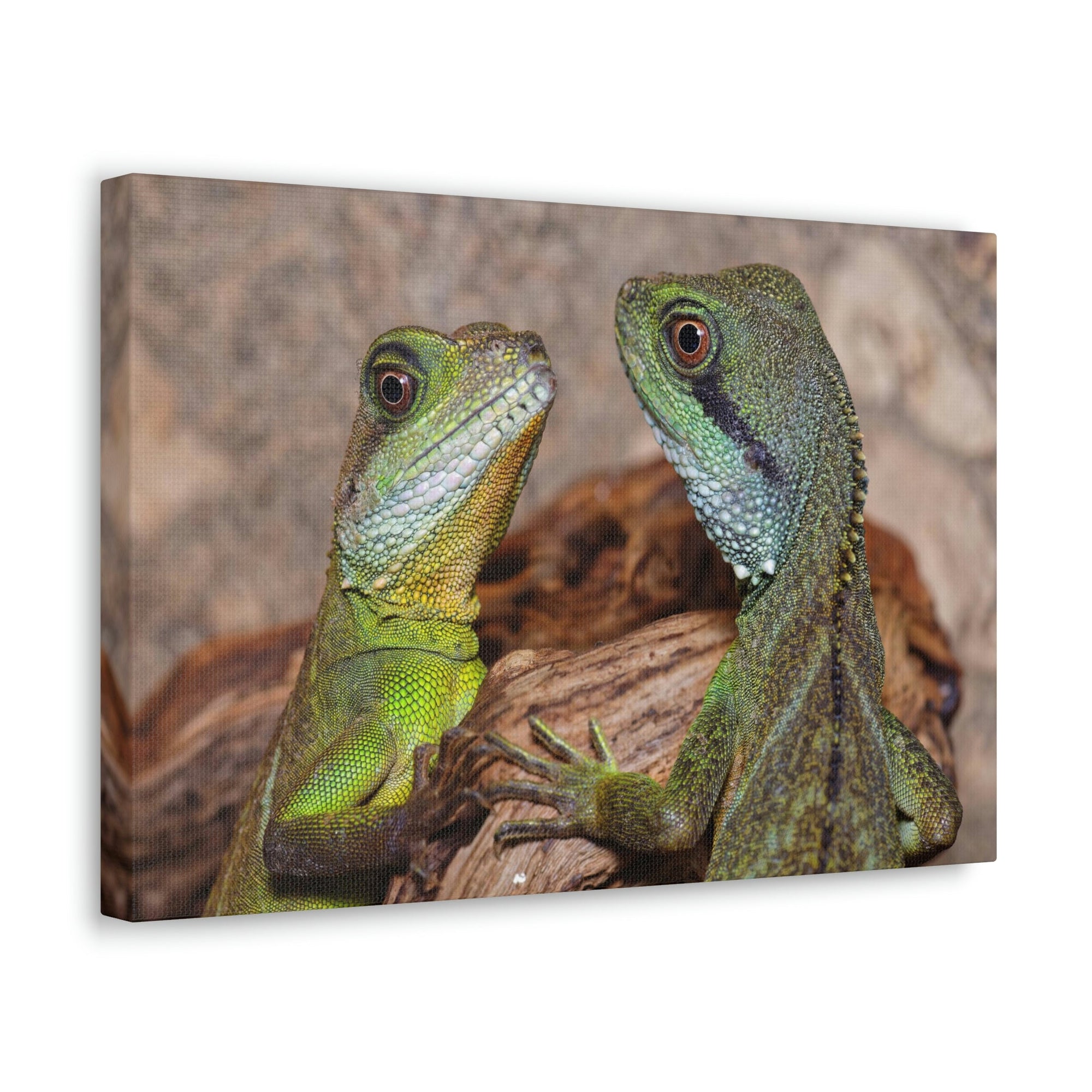 Funny Water Dragons Silly Water Dragons Scene Couple Wall Art Ready to Hang Unframed-Express Your Love Gifts