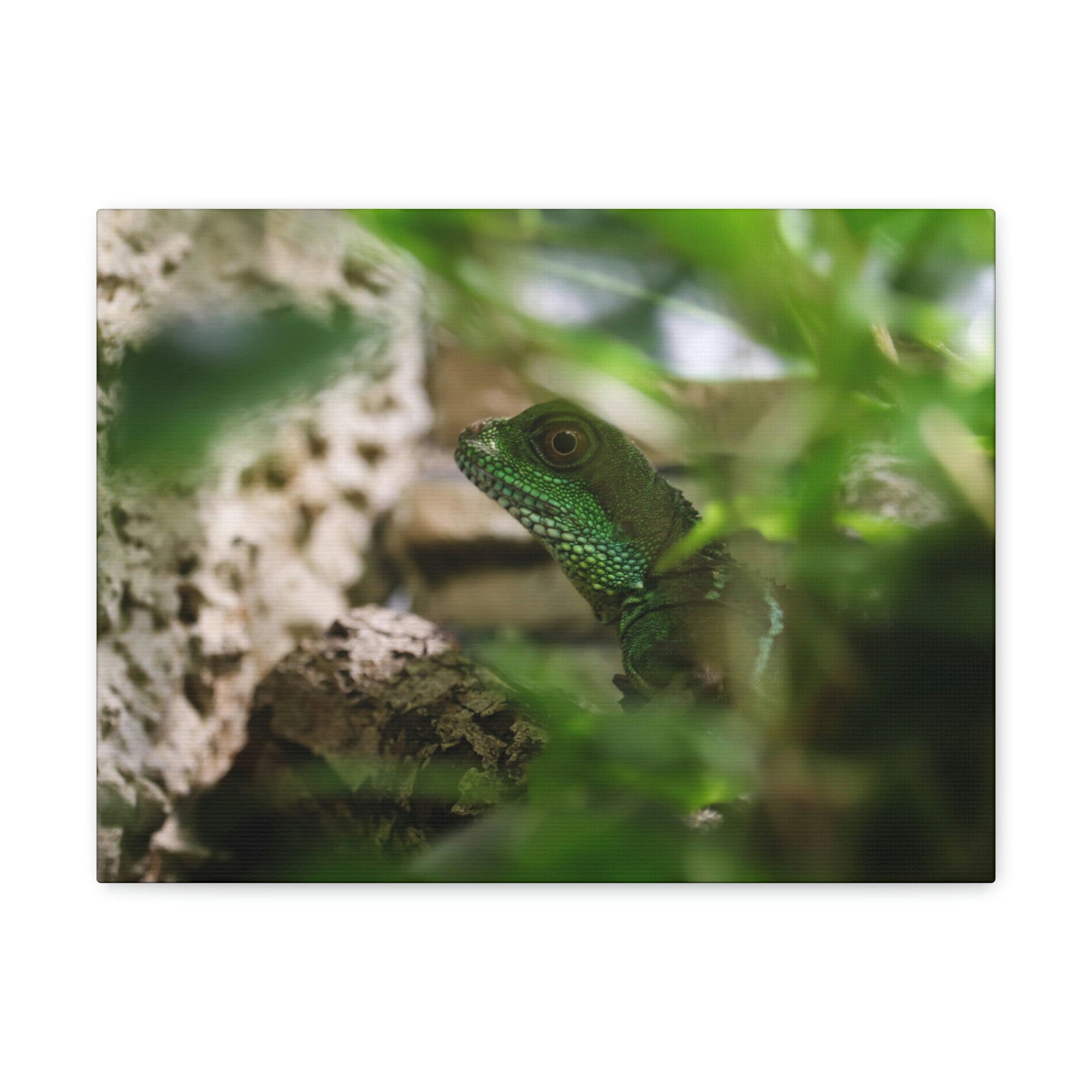 Funny Water Dragons Silly Water Dragons Scene Inside Wall Art Ready to Hang Unframed-Express Your Love Gifts