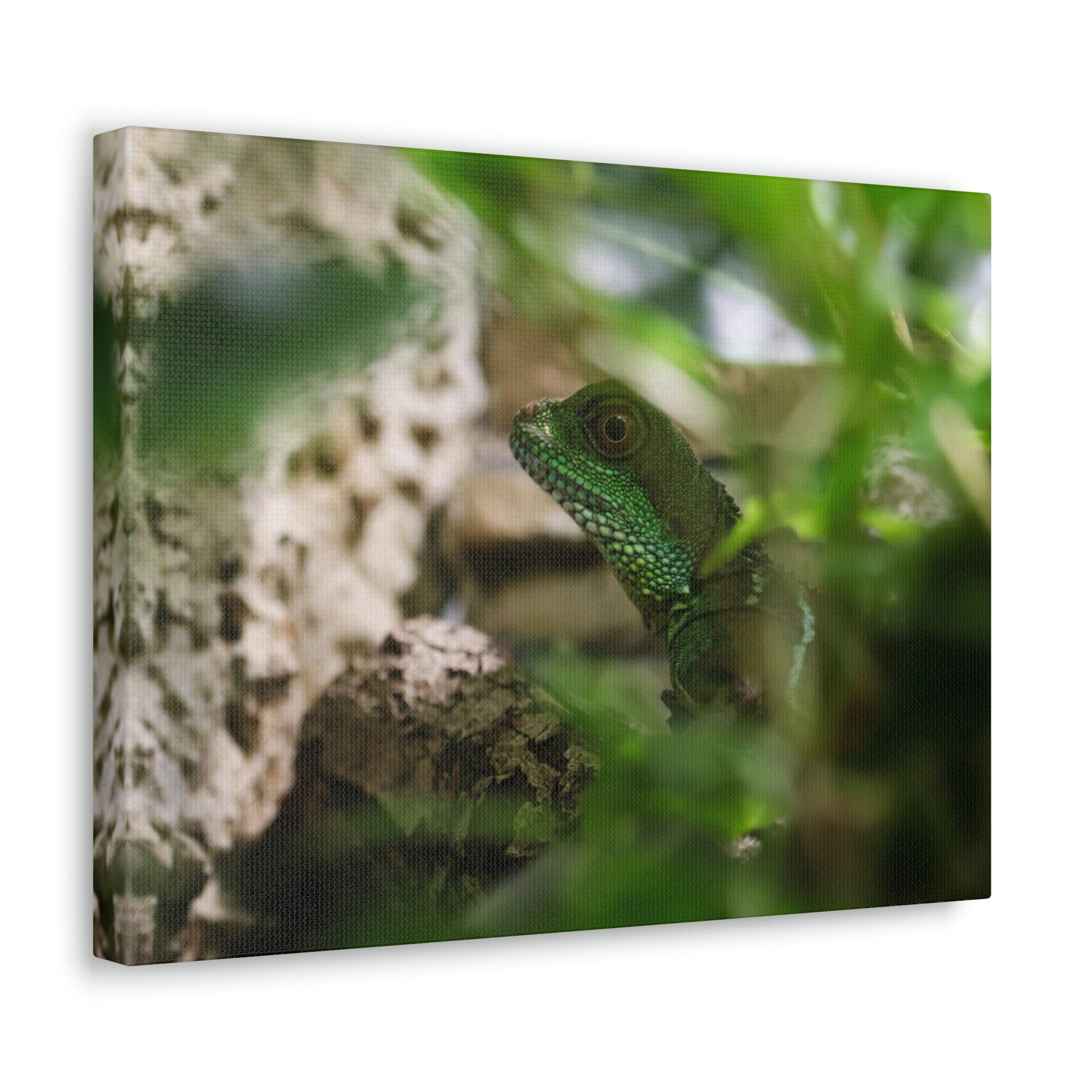 Funny Water Dragons Silly Water Dragons Scene Inside Wall Art Ready to Hang Unframed-Express Your Love Gifts