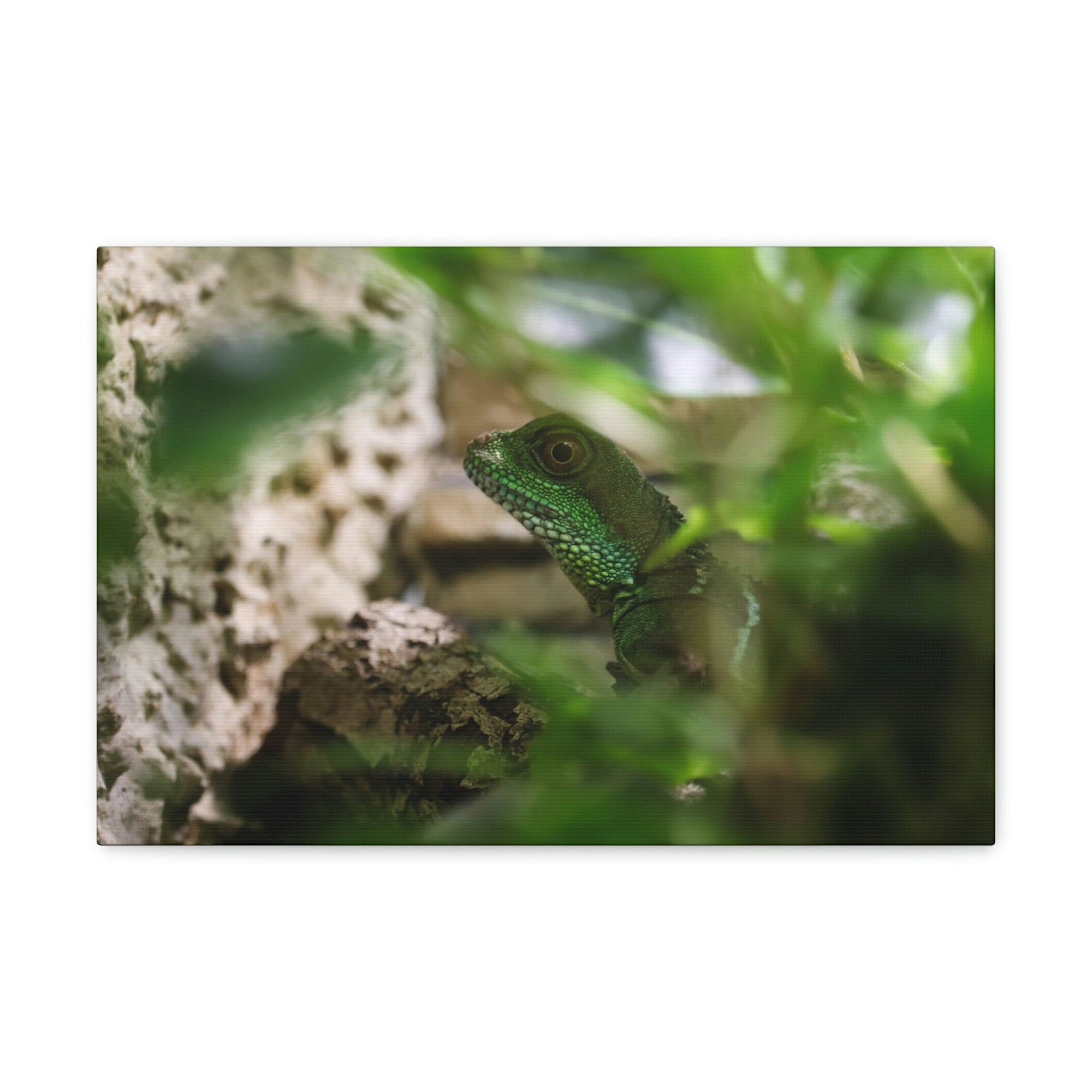 Funny Water Dragons Silly Water Dragons Scene Inside Wall Art Ready to Hang Unframed-Express Your Love Gifts