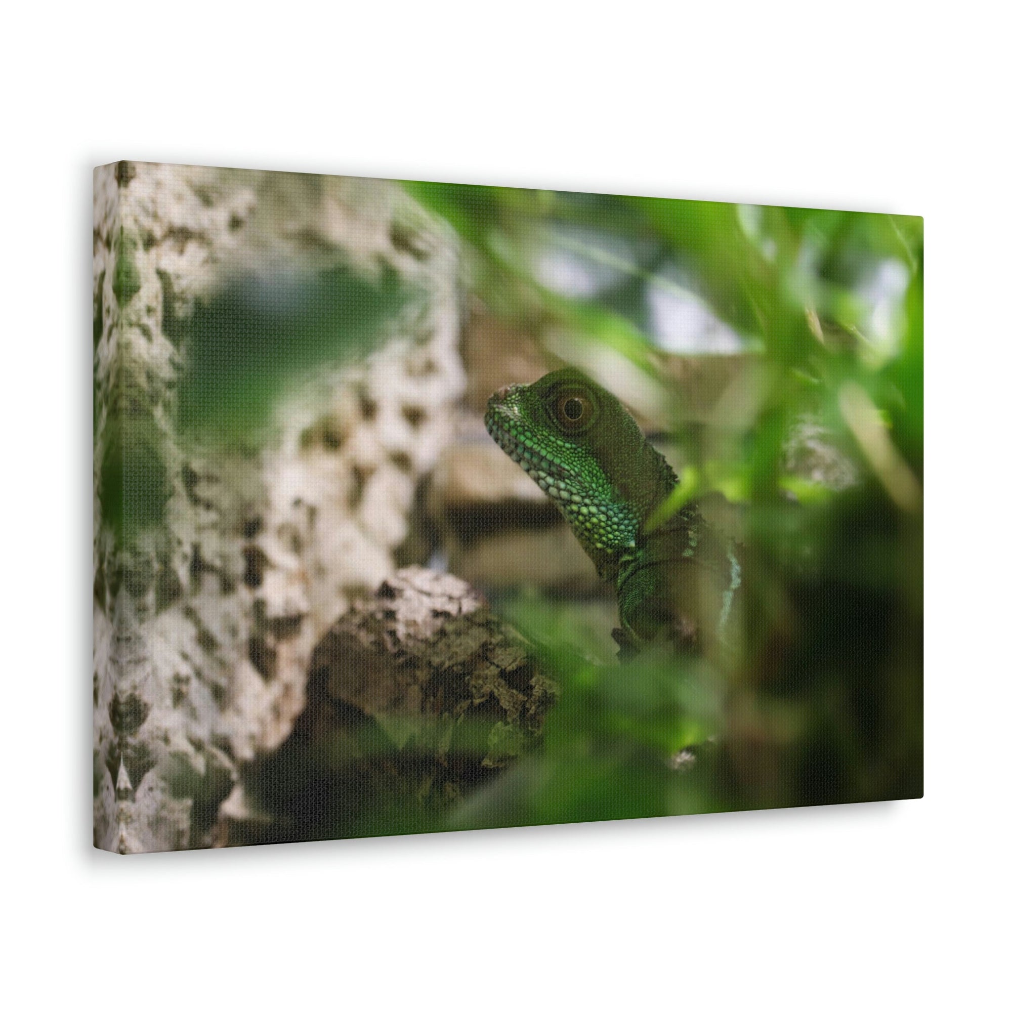 Funny Water Dragons Silly Water Dragons Scene Inside Wall Art Ready to Hang Unframed-Express Your Love Gifts