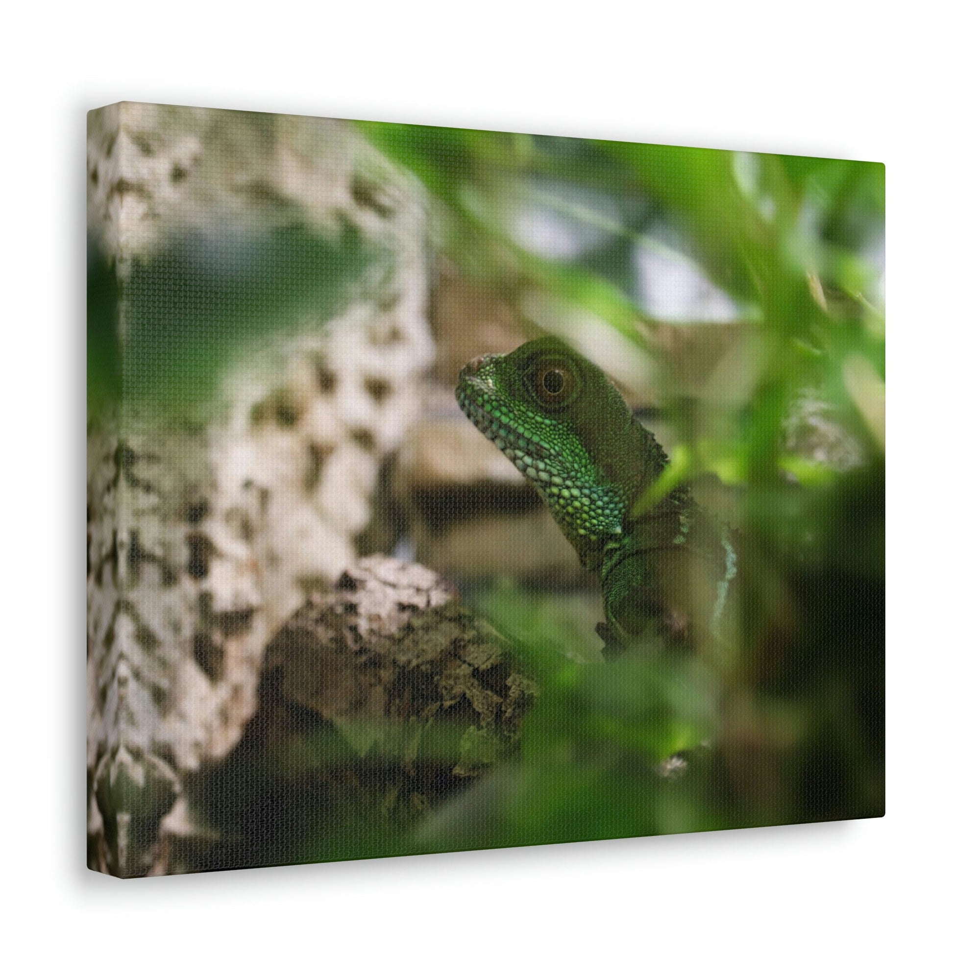 Funny Water Dragons Silly Water Dragons Scene Inside Wall Art Ready to Hang Unframed-Express Your Love Gifts