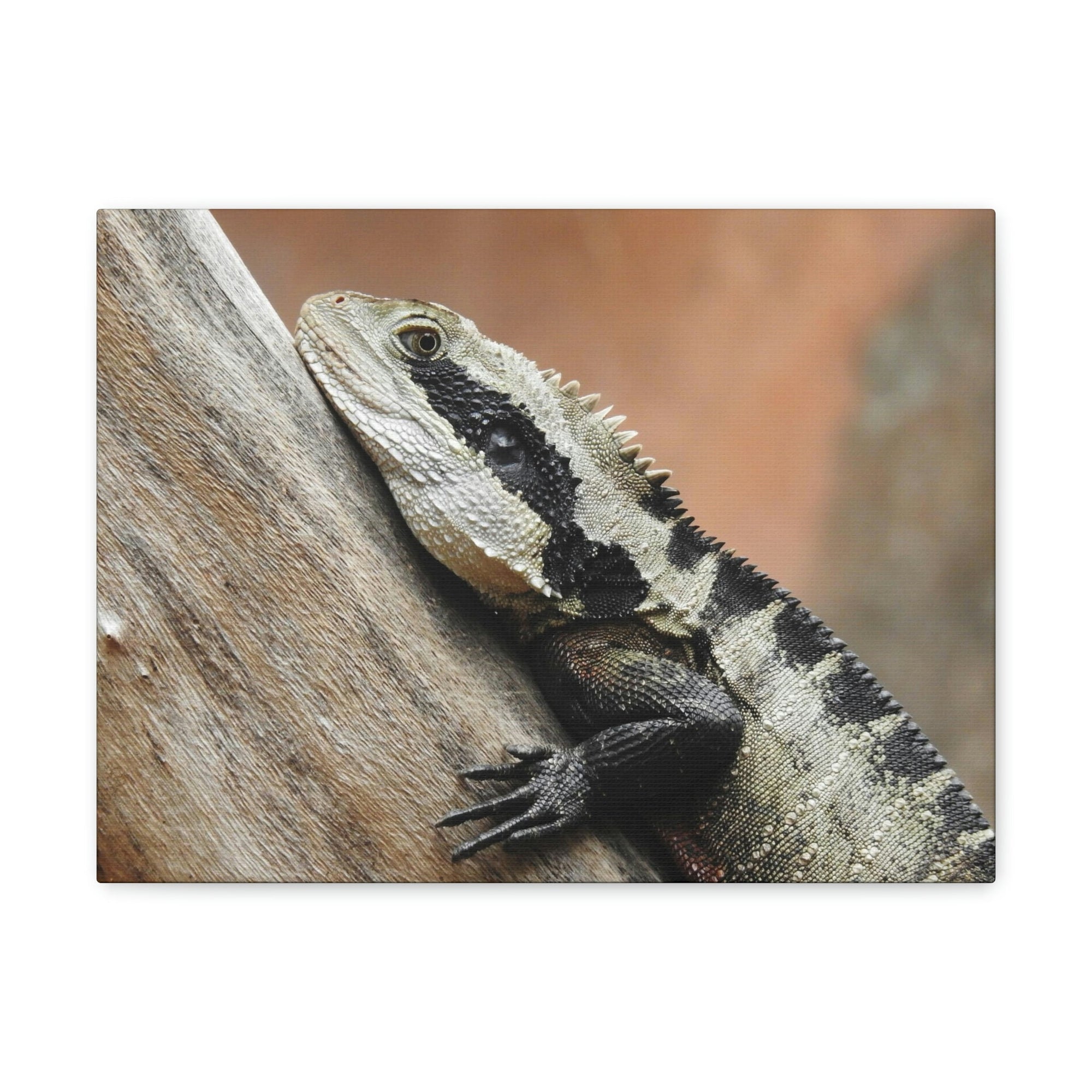 Funny Water Dragons Silly Water Dragons Scene Outside Wall Art Ready to Hang Unframed-Express Your Love Gifts