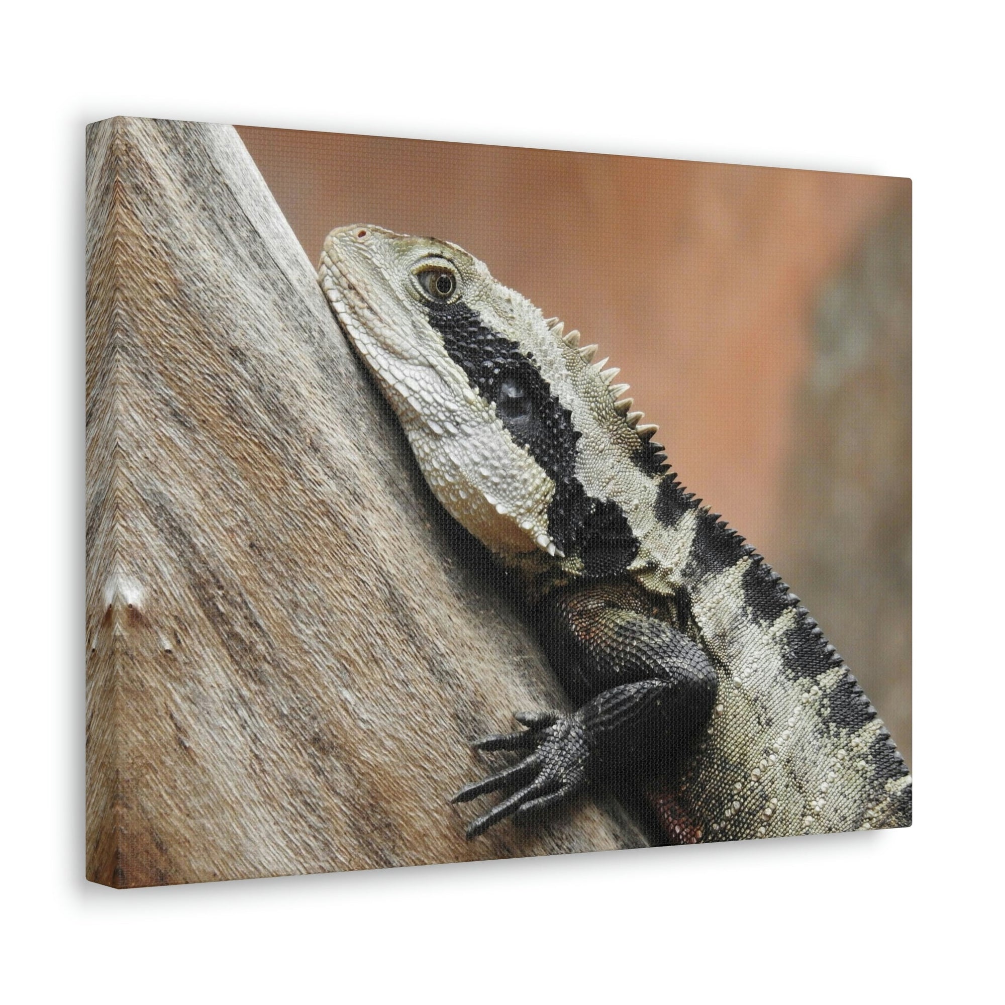 Funny Water Dragons Silly Water Dragons Scene Outside Wall Art Ready to Hang Unframed-Express Your Love Gifts