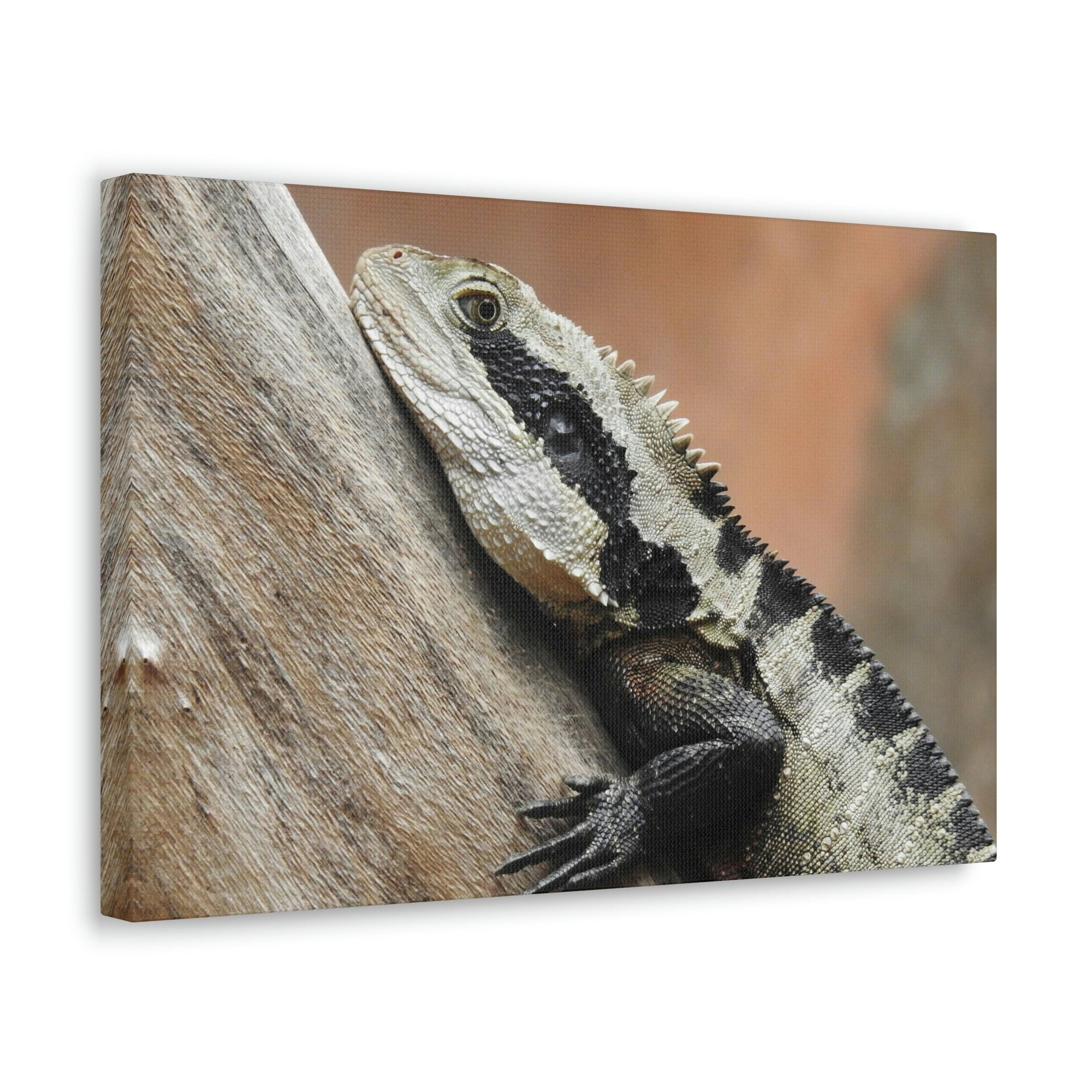 Funny Water Dragons Silly Water Dragons Scene Outside Wall Art Ready to Hang Unframed-Express Your Love Gifts